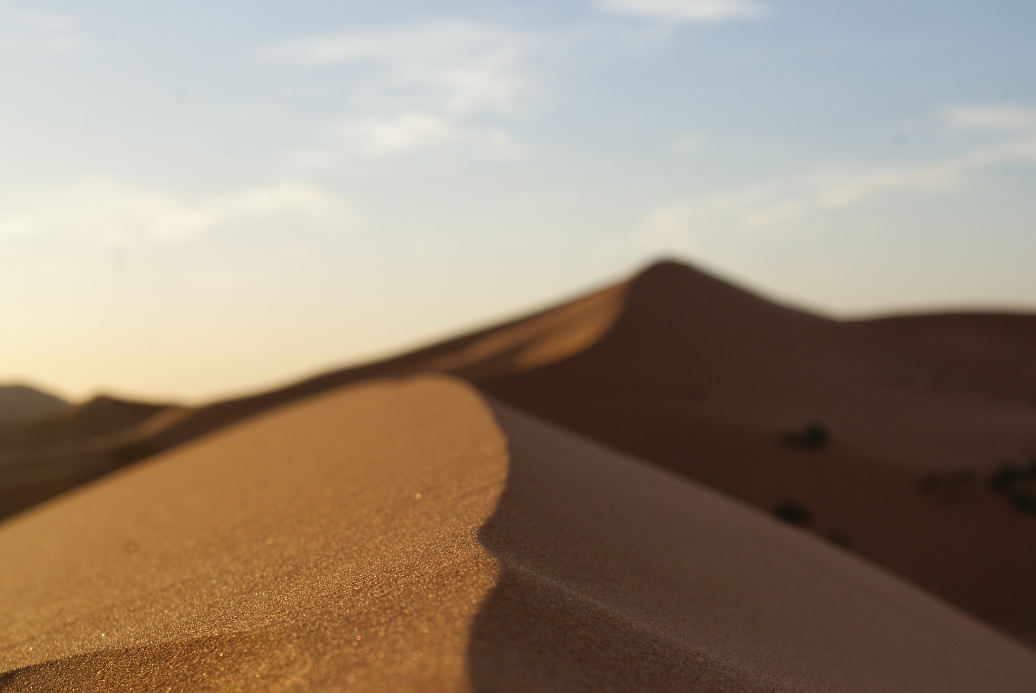 Sony Alpha DSLR-A300 sample photo. Sahara desert photography