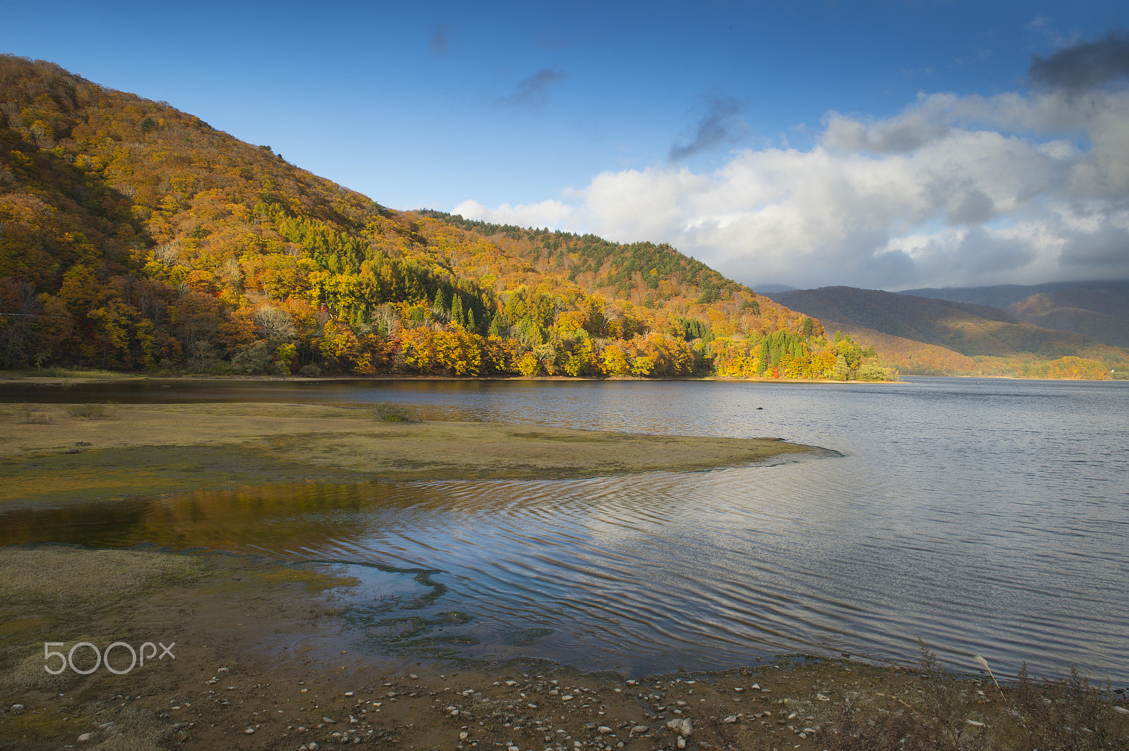 Nikon D4S sample photo. Autumn lake photography