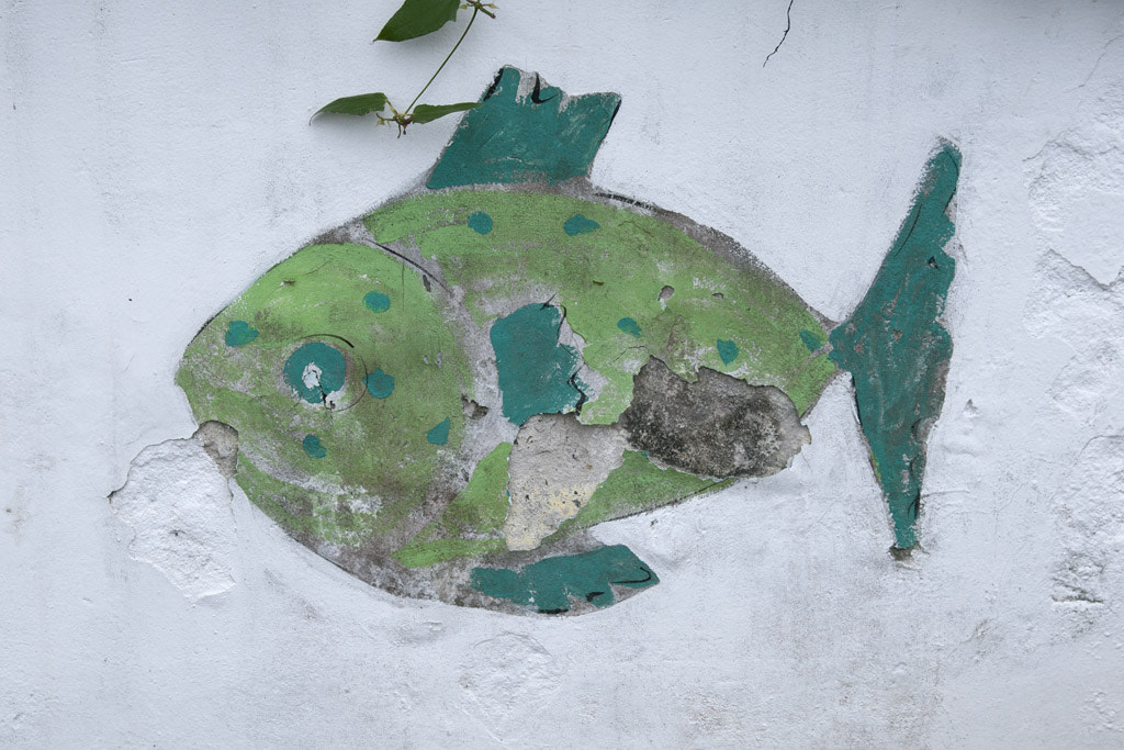 peixe