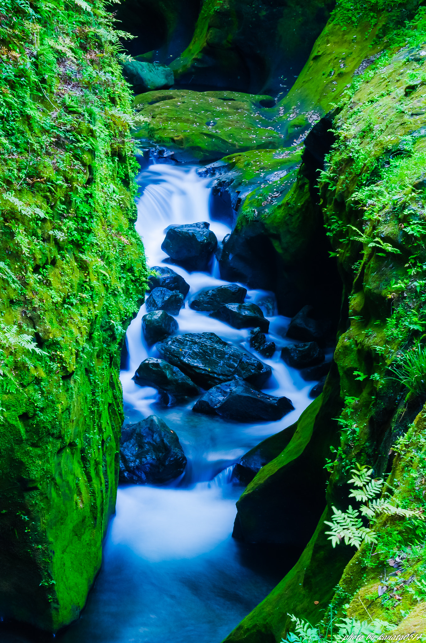 Pentax K-5 + Tamron AF 28-300mm F3.5-6.3 XR Di LD Aspherical (IF) Macro sample photo. ~primeval  flow~the land of myth photography