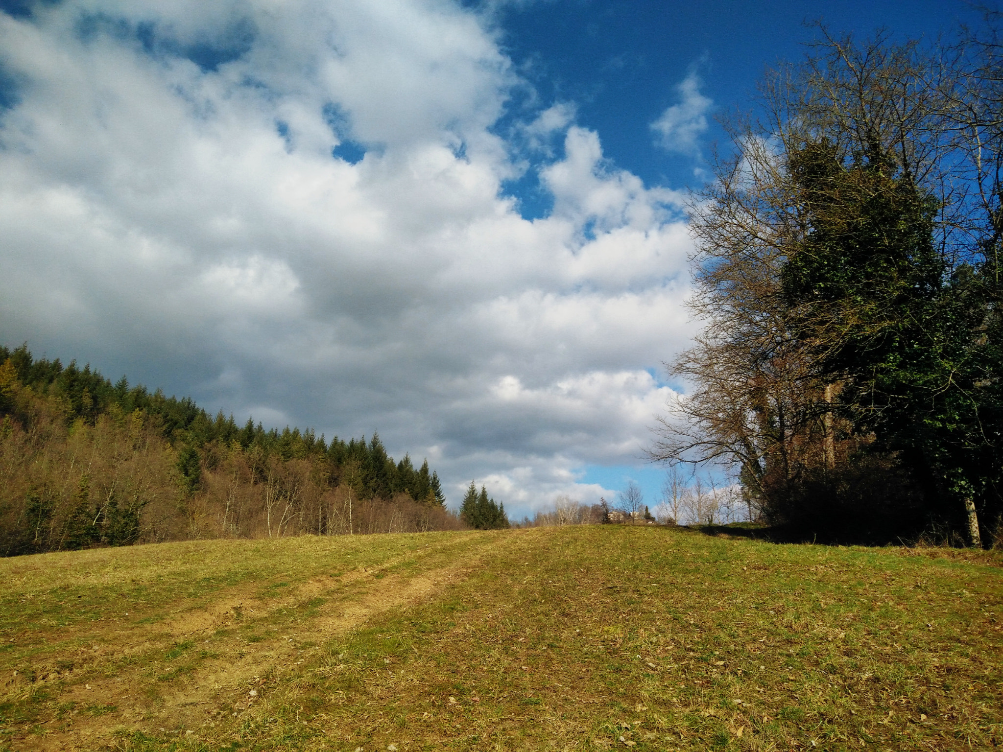 OnePlus ONE E1003 sample photo