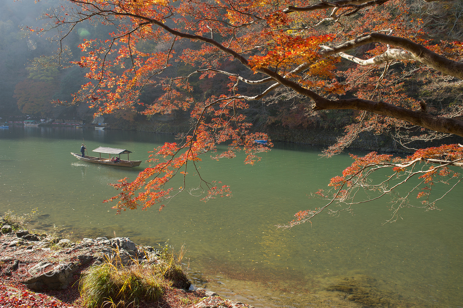 Nikon D4S sample photo. Arashiyama,japan photography