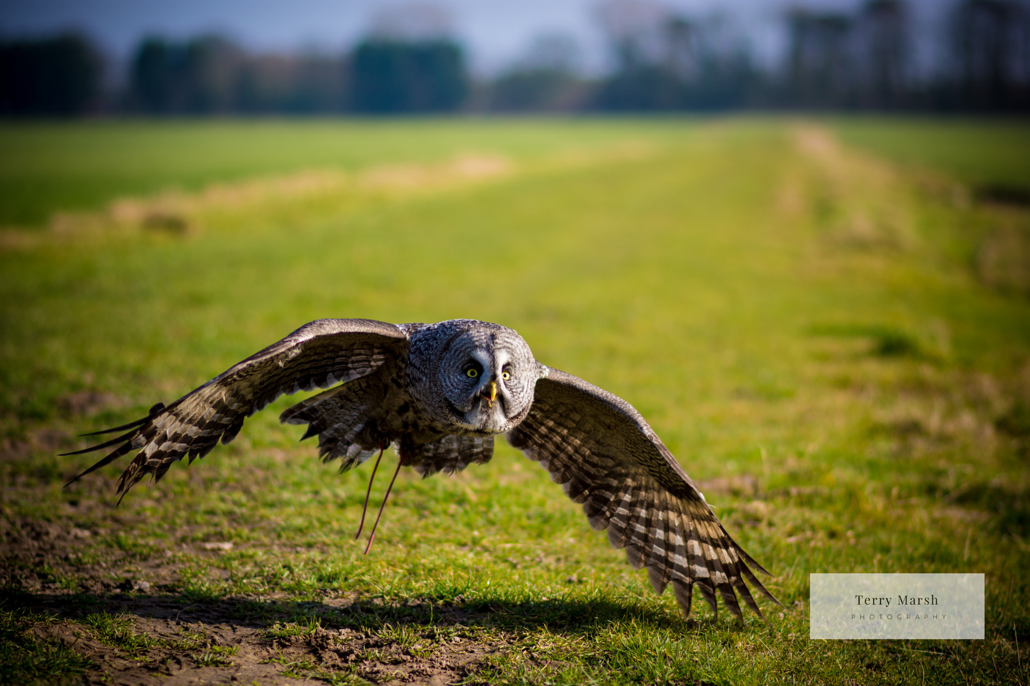 Nikon D7200 + Nikon AF-S Nikkor 85mm F1.8G sample photo. Low and slow photography