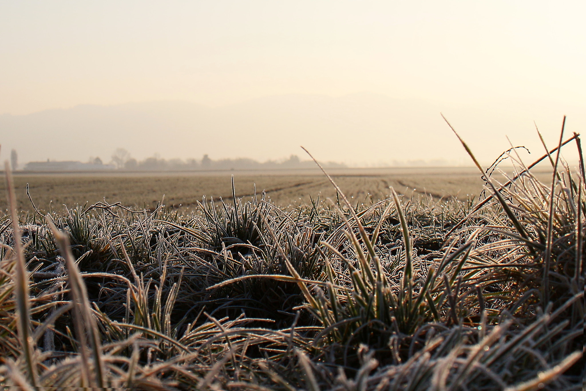 Canon EOS 650D (EOS Rebel T4i / EOS Kiss X6i) + Sigma 18-50mm F2.8-4.5 DC OS HSM sample photo. Cold morning photography