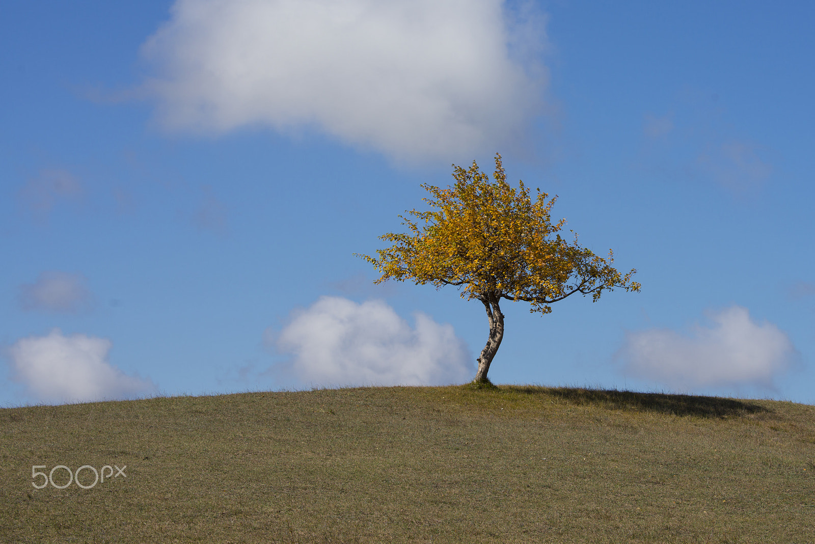 Nikon D800E sample photo. Lonely photography