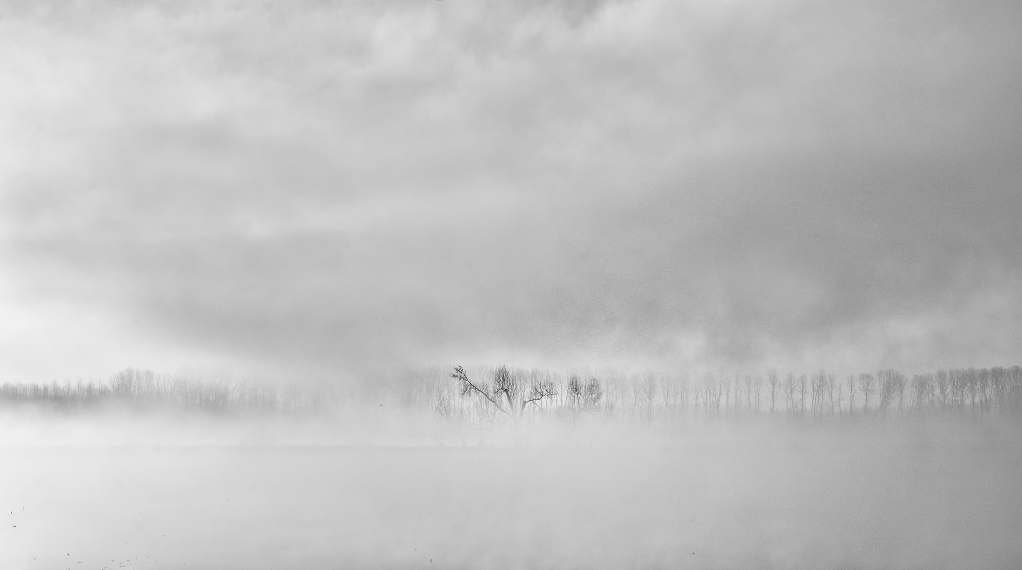 AF Zoom-Nikkor 28-105mm f/3.5-4.5D IF sample photo. From the mist photography