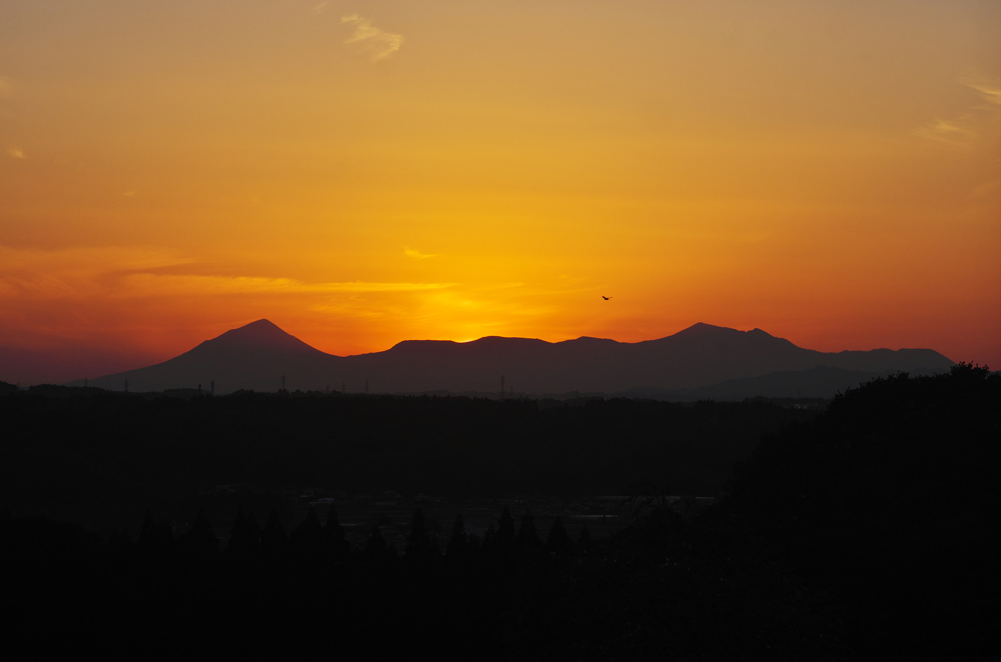 Pentax K-5 + Tamron SP AF 90mm F2.8 Di Macro sample photo. Sunset photography