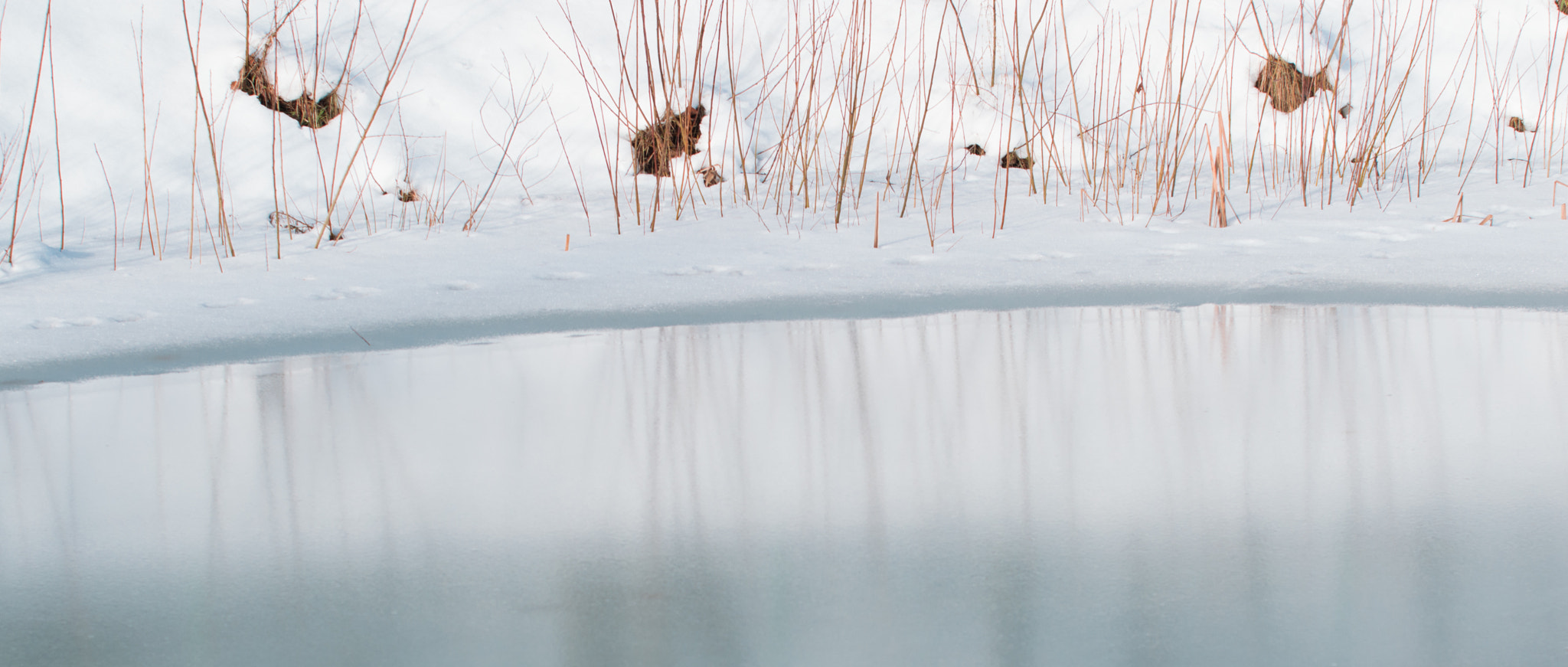 Nikon D3200 sample photo. Stillness photography