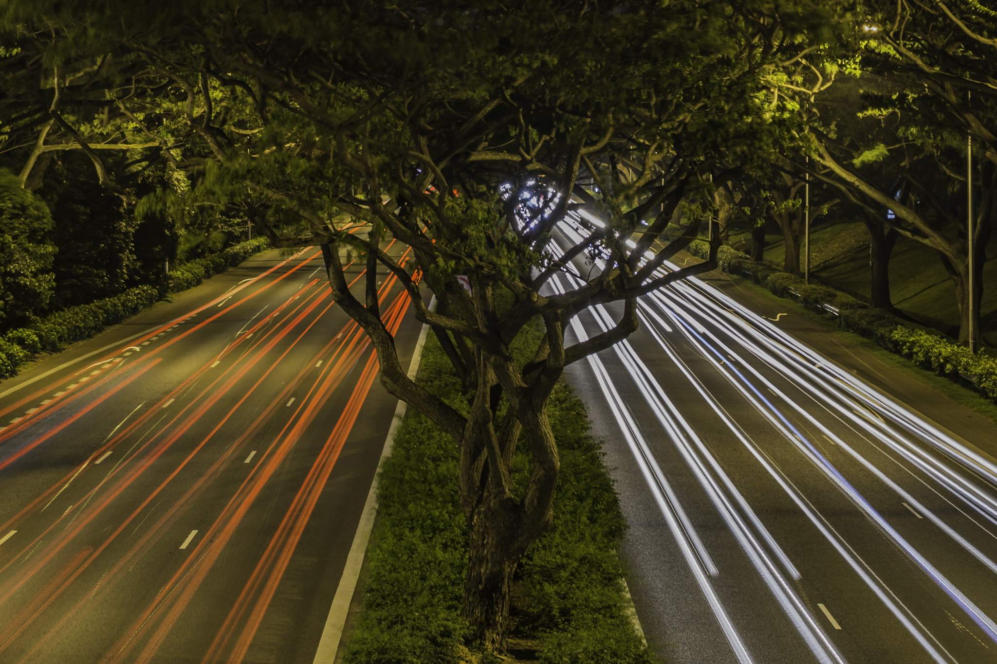 Nikon D7200 sample photo. Another light trail photography