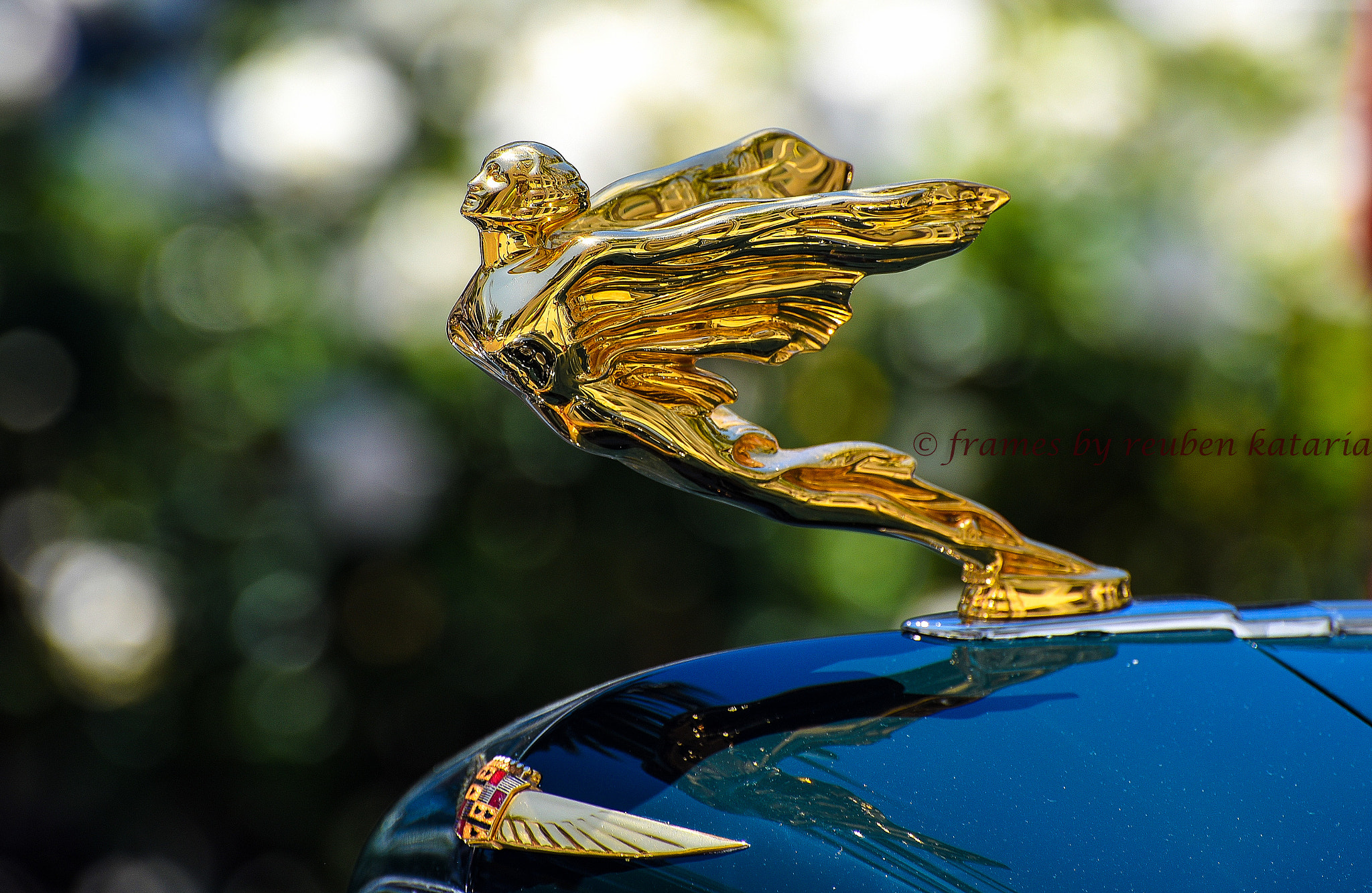 Nikon D810 sample photo. Bentley photography