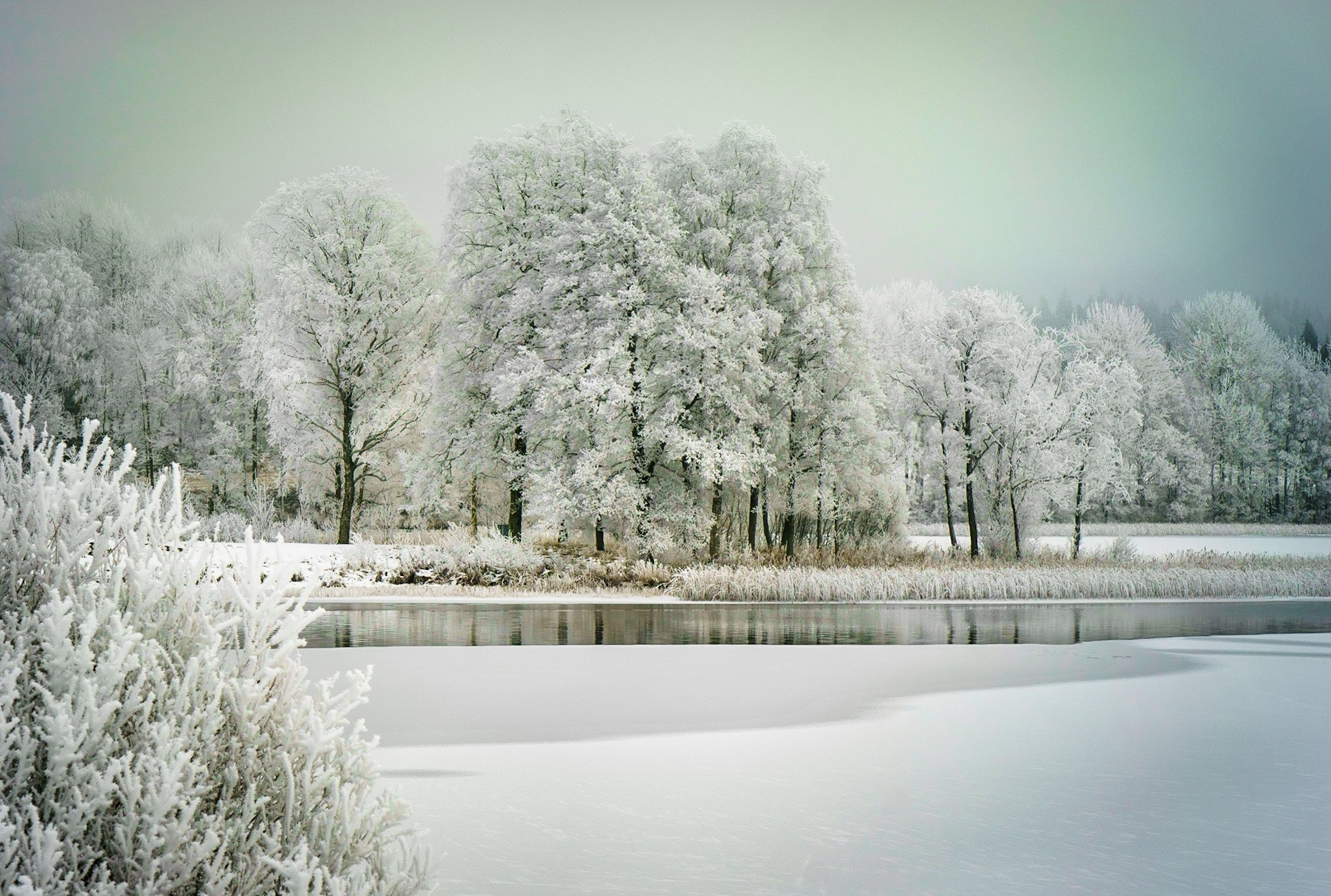 Sony a7R + ZEISS Batis 85mm F1.8 sample photo. A winter day photography