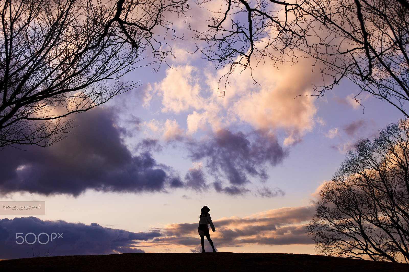 Canon EOS 6D + EF28-70mm f/2.8L USM sample photo. Sunset silhouette photography