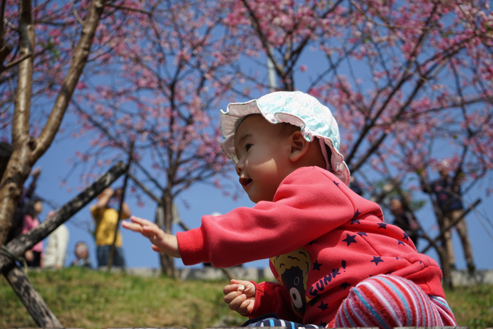 Tamron 18-200mm F3.5-6.3 Di III VC sample photo