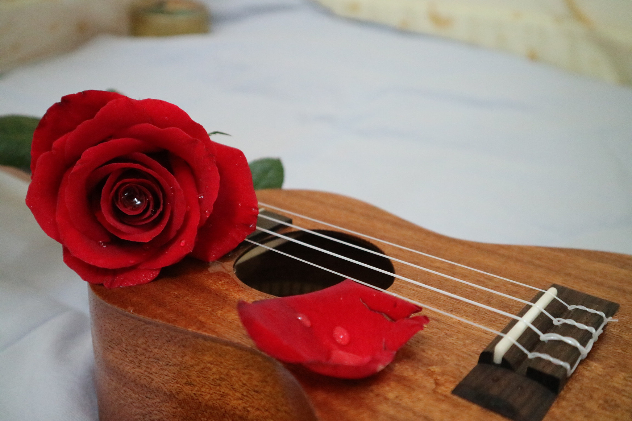 Canon EOS M3 sample photo. In the dark night of passion ,as she sang with gentleness. photography
