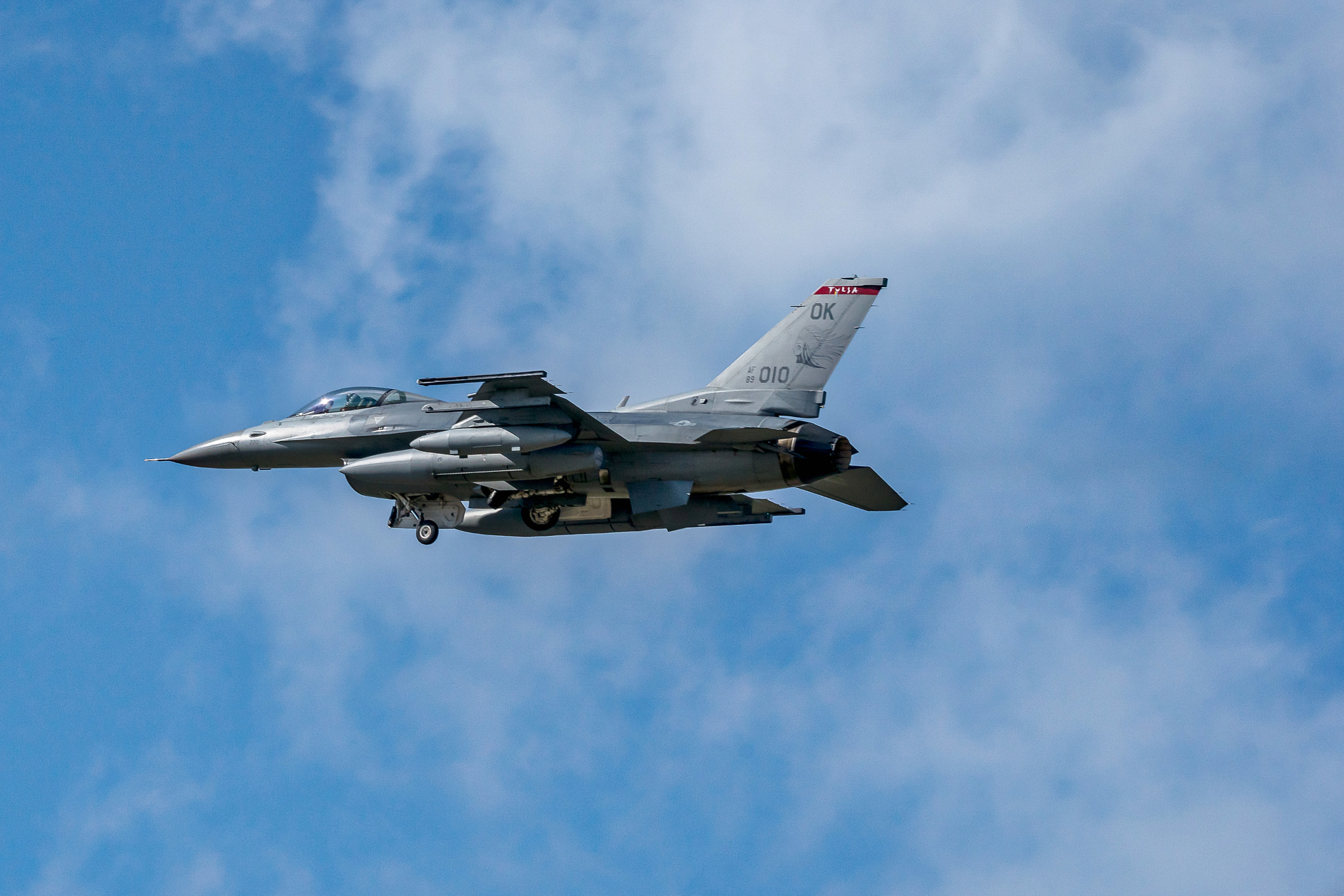 Tamron SP 150-600mm F5-6.3 Di VC USD sample photo. Flying high photography