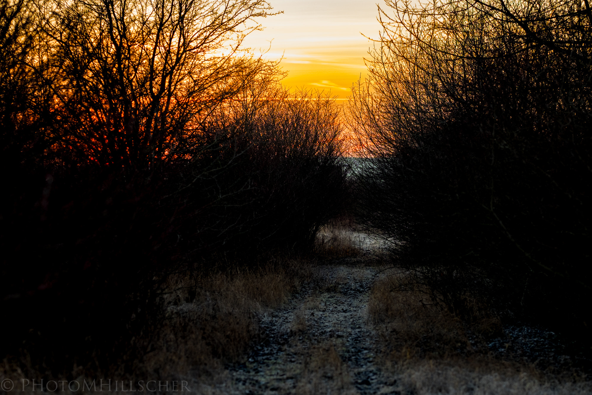 Fujifilm X-T1 + Fujifilm XF 90mm F2 R LM WR sample photo. Morning walk on the old train photography