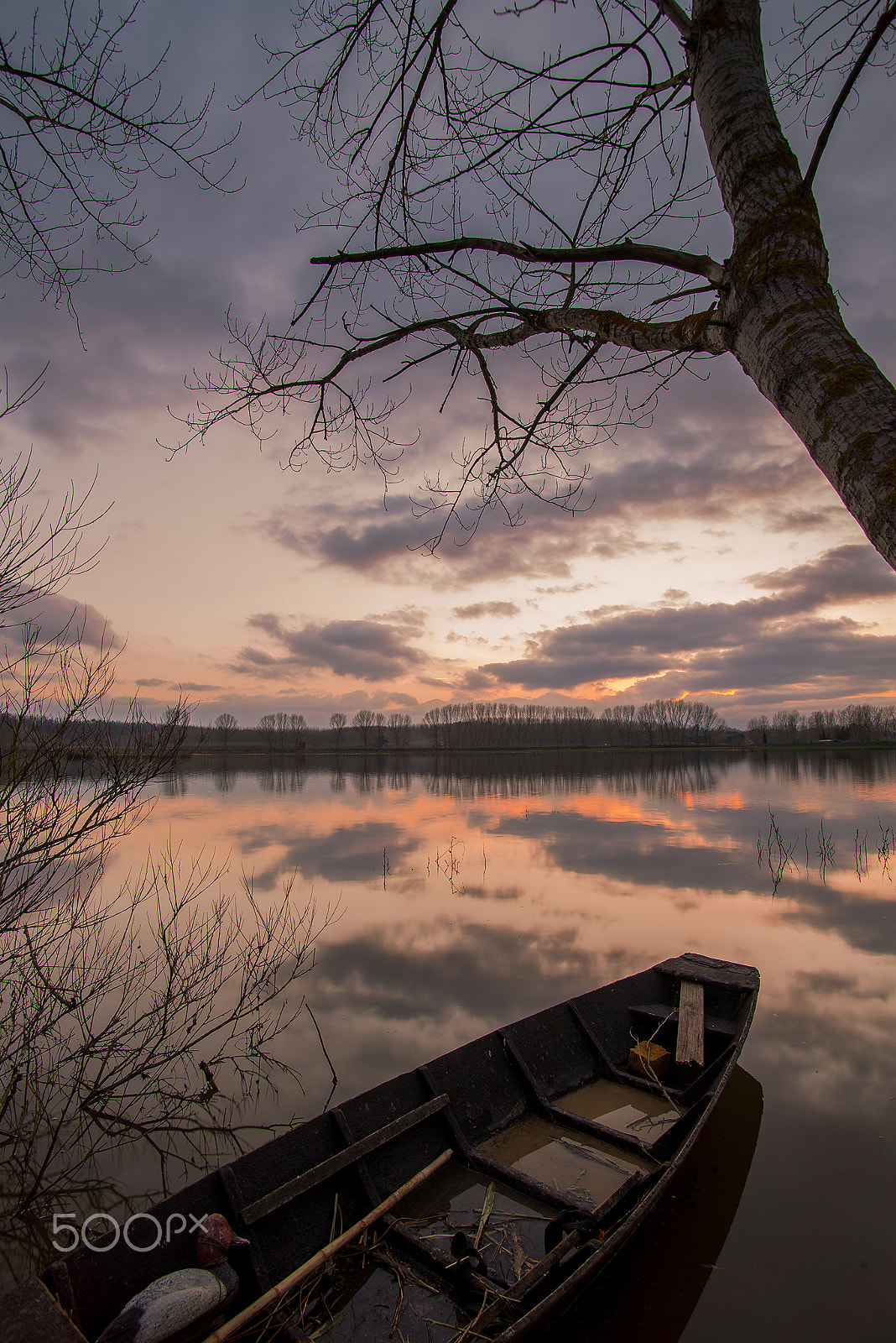 Nikon D610 sample photo. The hunter's swamp boat photography