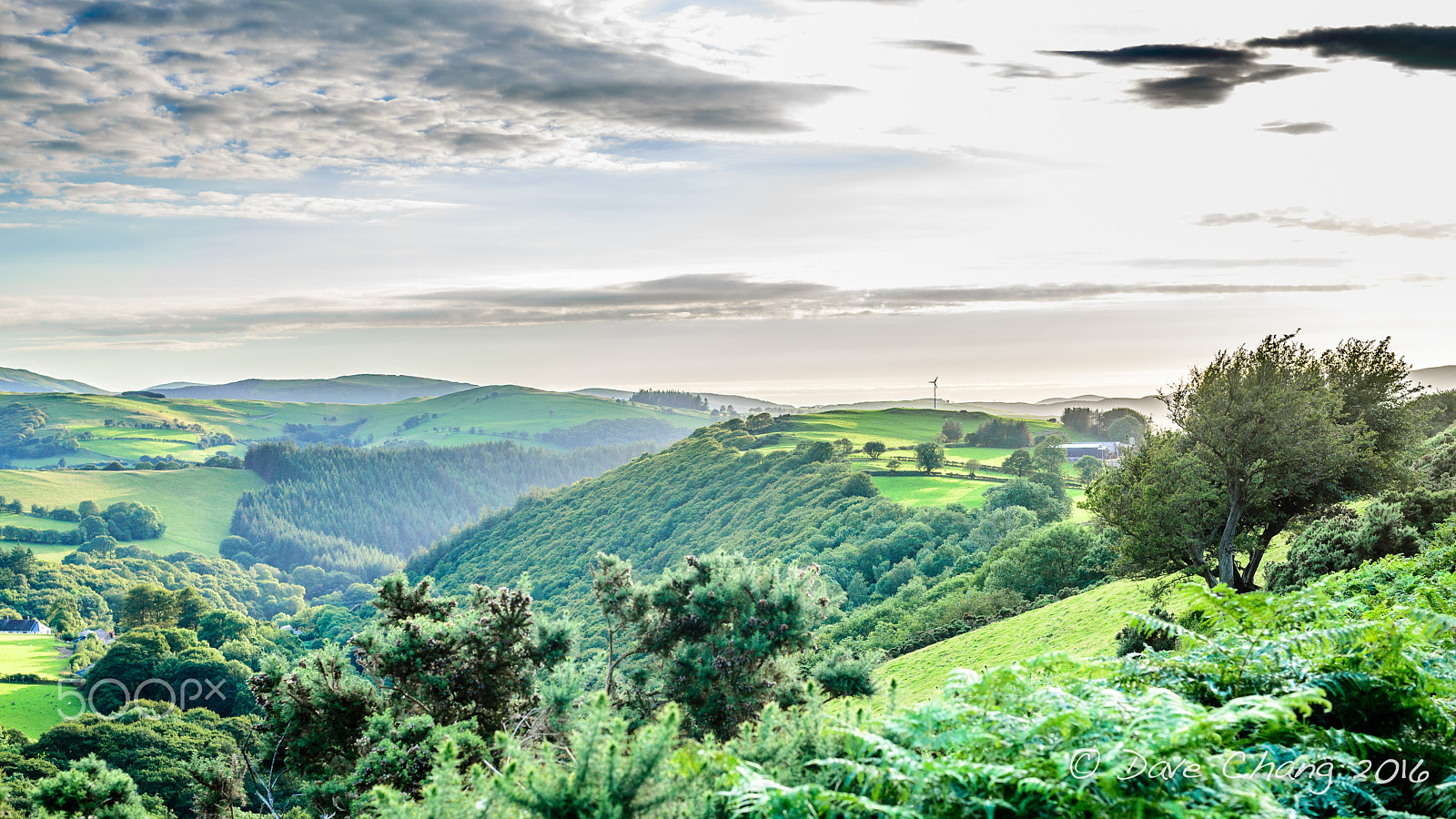 Nikon D600 + AF Nikkor 50mm f/1.4 sample photo. Snowdonia evening landsacpe photography