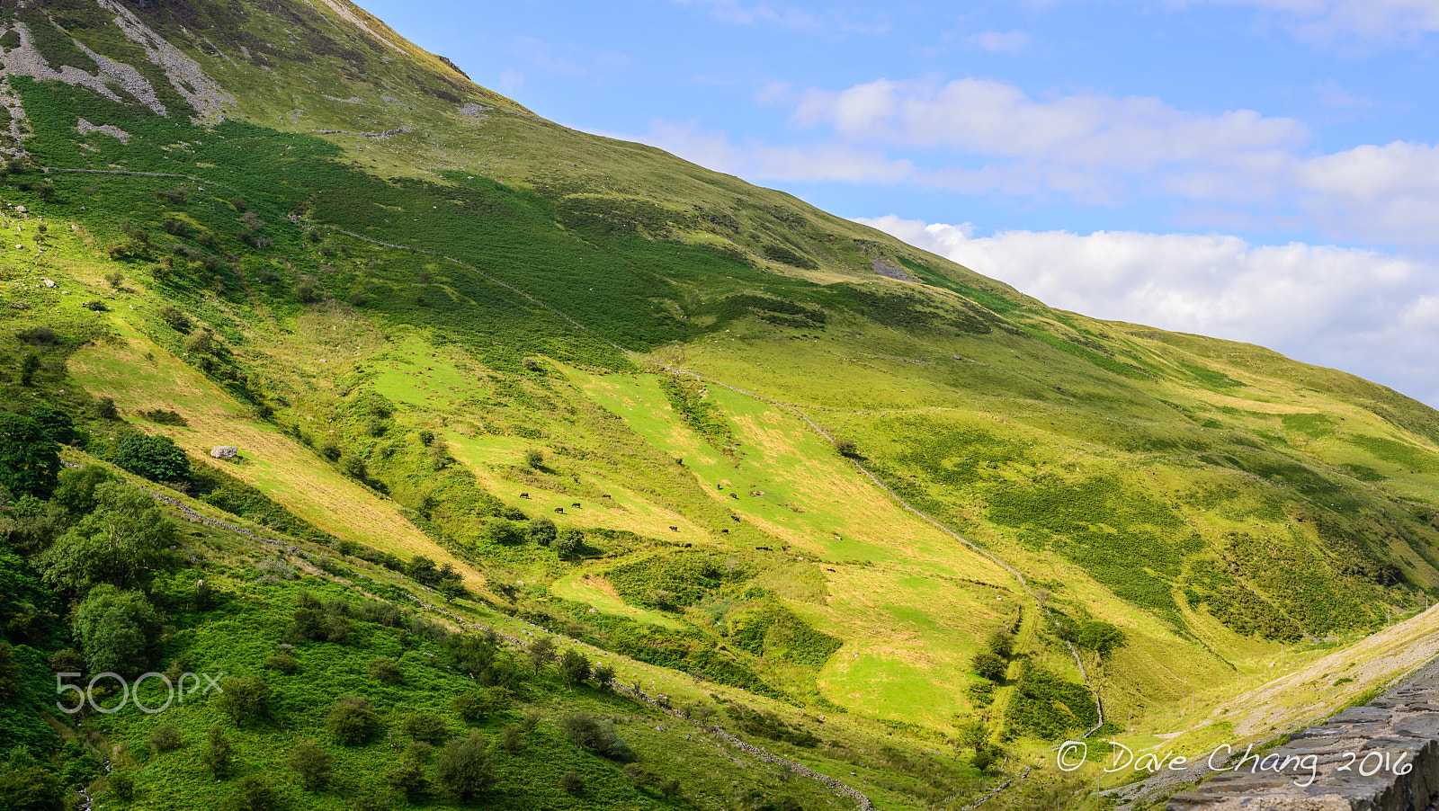 Nikon D600 + AF Nikkor 50mm f/1.4 sample photo. Road to lake bala (llyyn tegid) photography