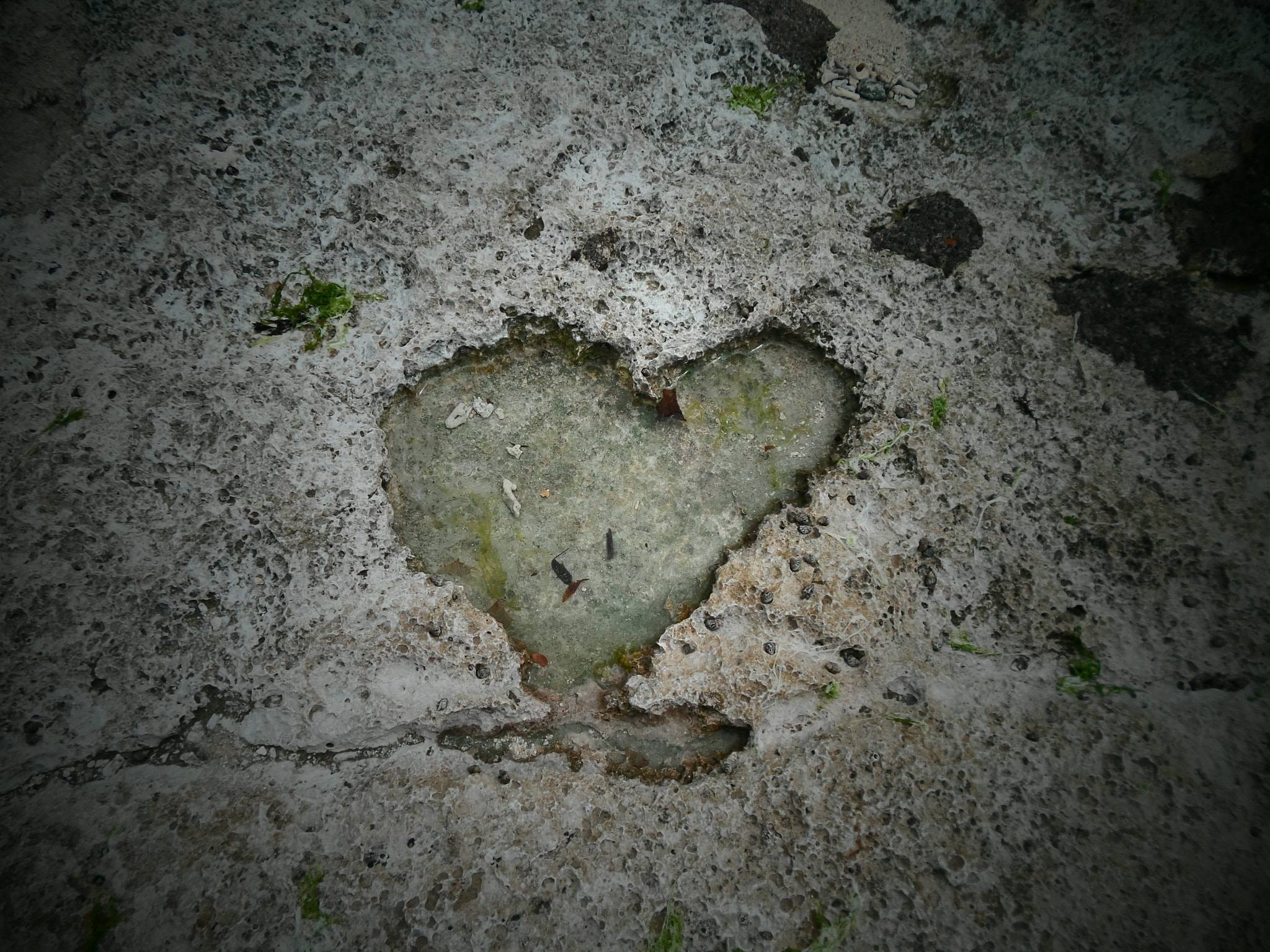 Samsung DV300 / DV300F / DV305F sample photo. Carving my heart into stone... photography