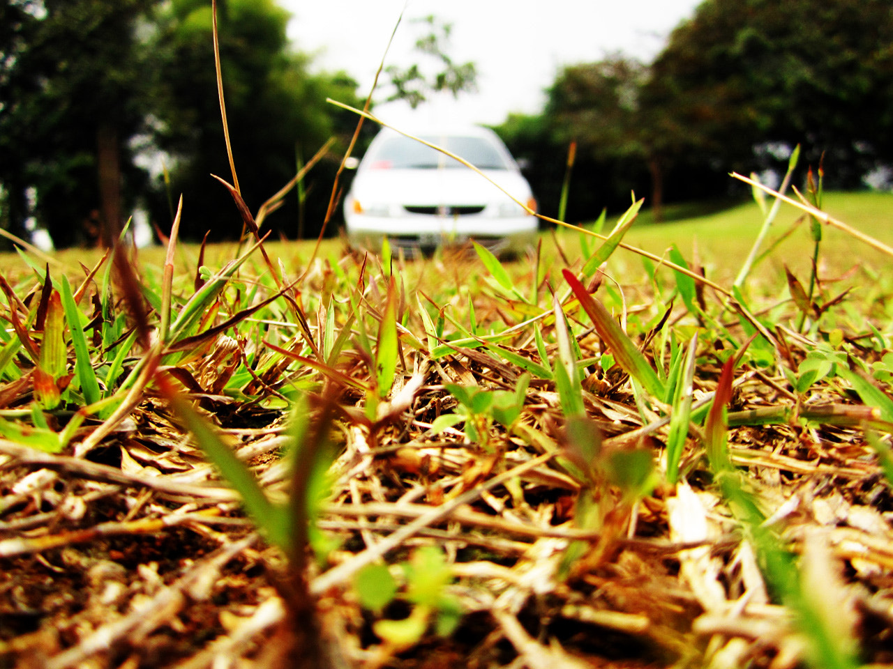 v2?sig=6b3fd17b801cf20a7c9dcfc609dea3ae9541a0917367c29bf54bb880c5955263