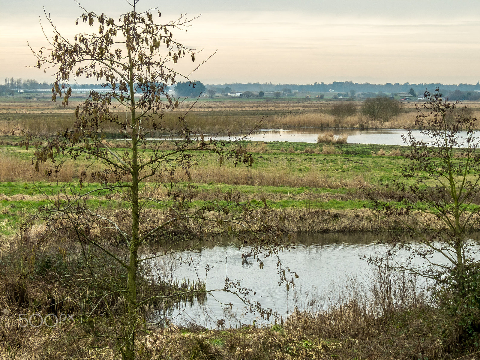 Fujifilm XF1 sample photo. View from the hide photography