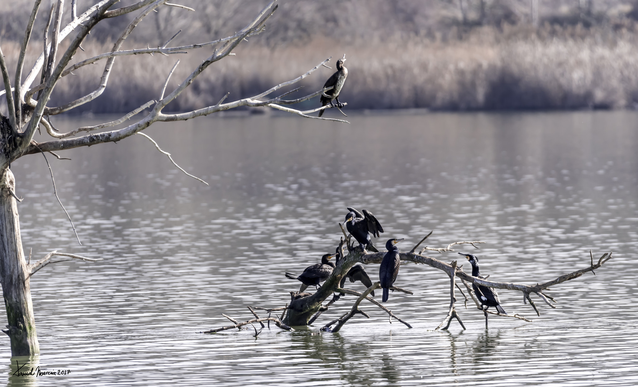 Sigma 150-600mm F5-6.3 DG OS HSM | S sample photo. Al sol photography