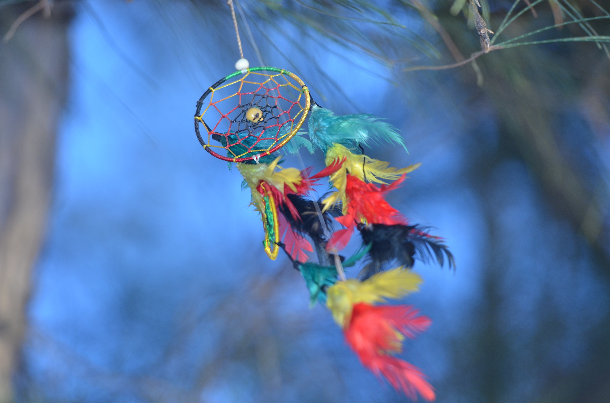 Nikon AF-S Nikkor 70-200mm F2.8G ED VR II sample photo. Dream catcher photography