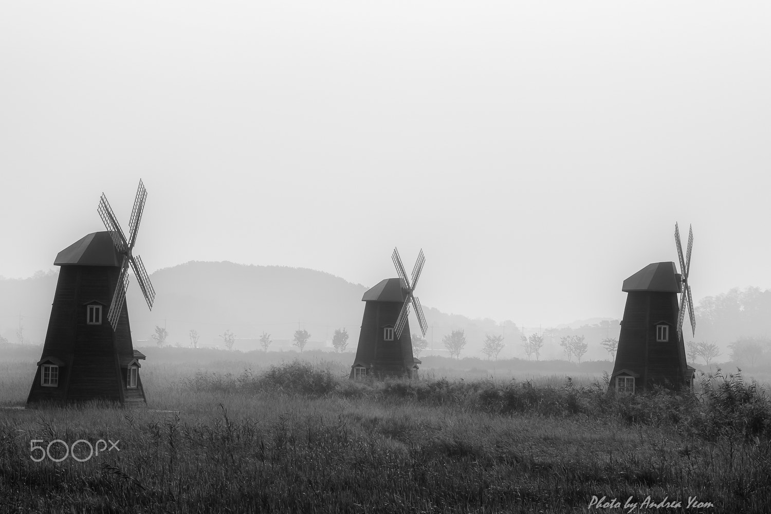 Nikon D5 sample photo. Foggy morning photography