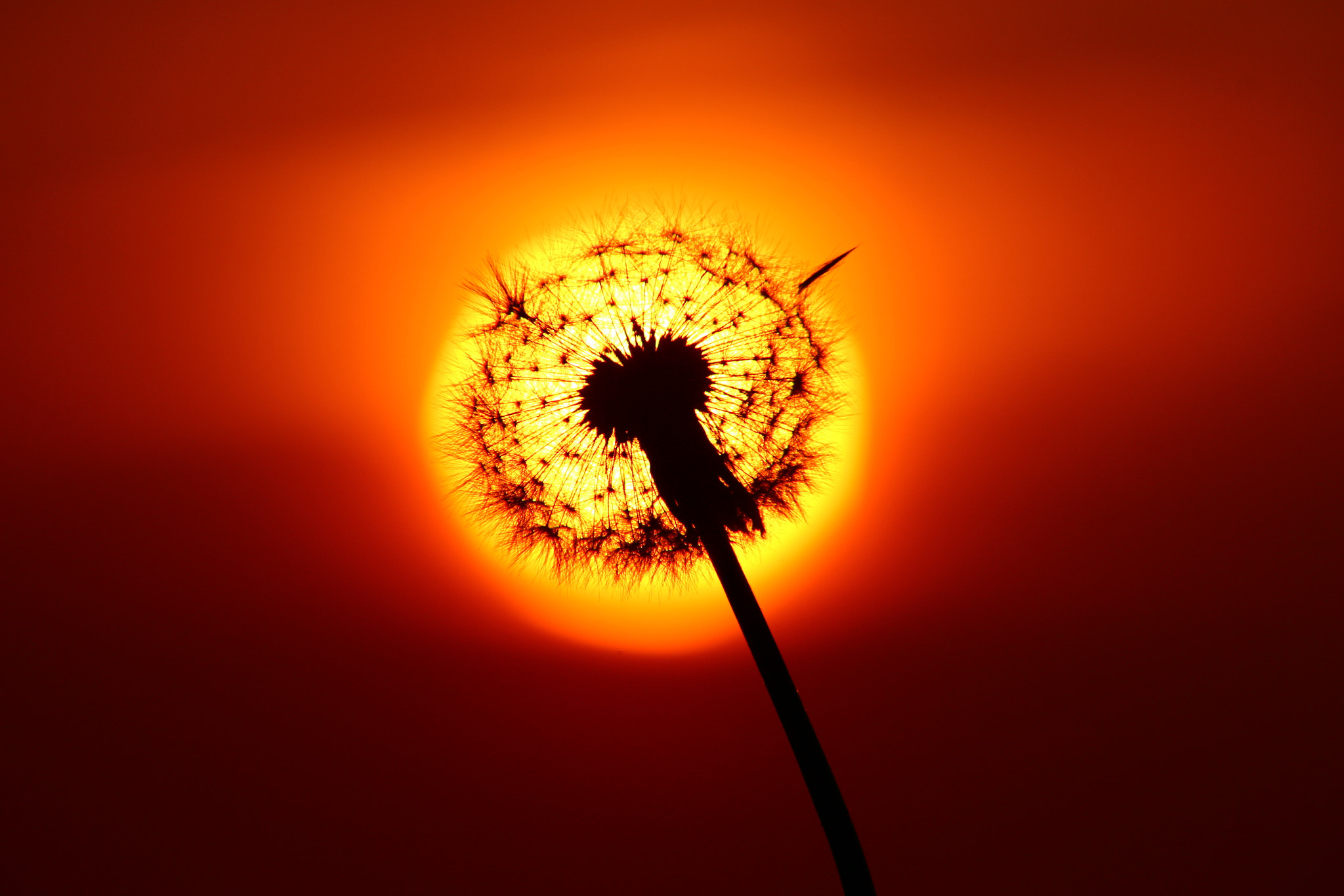 Canon EOS 70D + EF75-300mm f/4-5.6 sample photo. Sunset photography