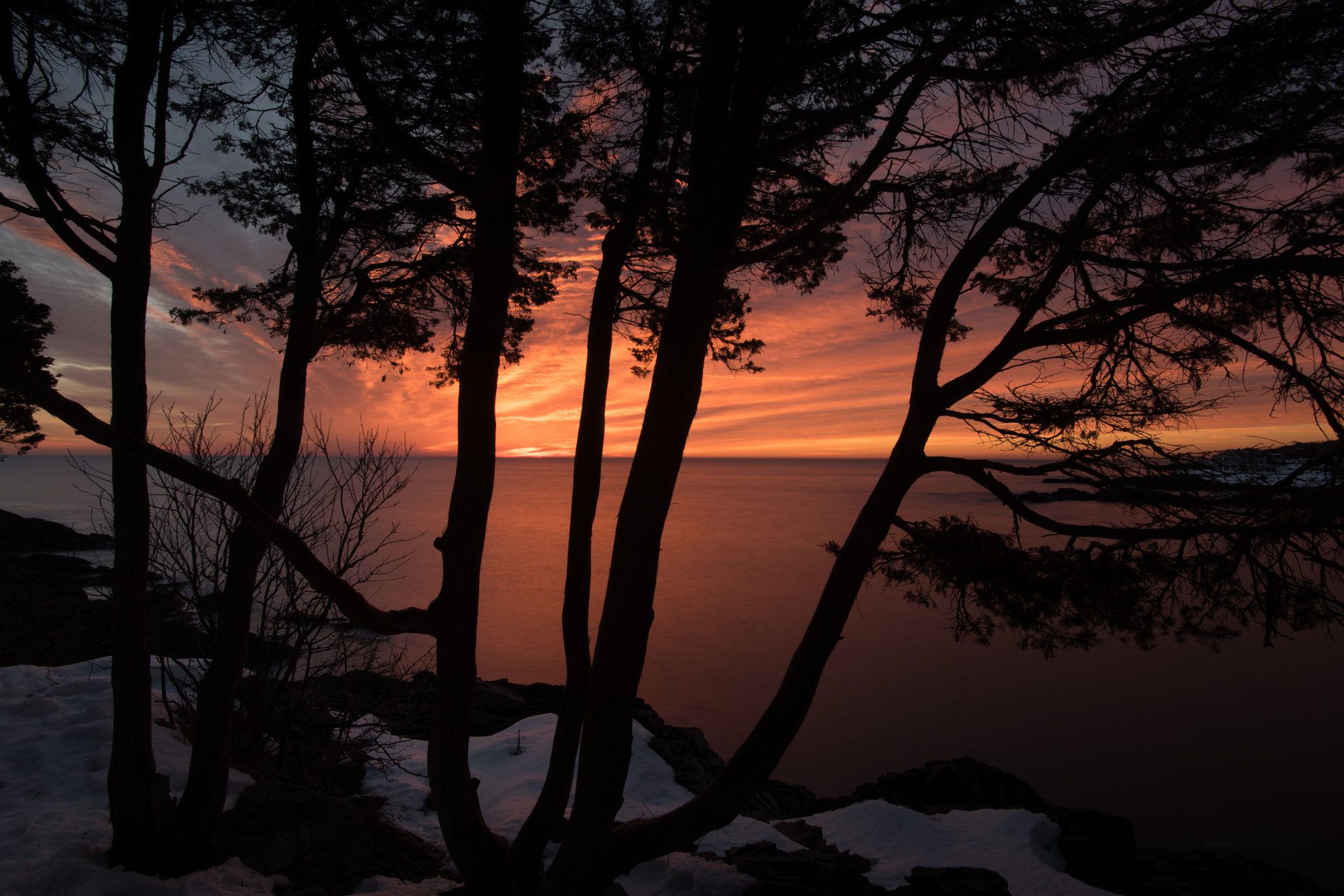Nikon D810 sample photo. ...silhouette sunrise... photography