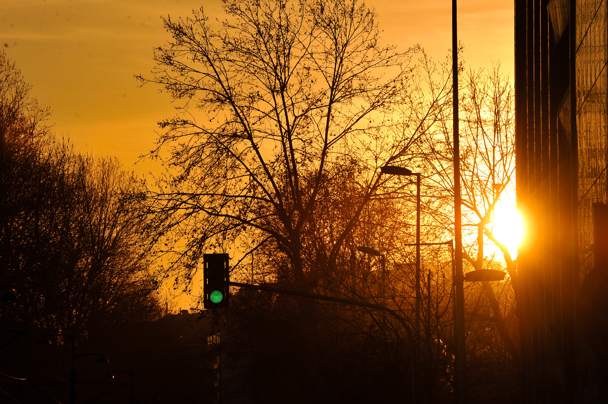 Nikon D3S sample photo