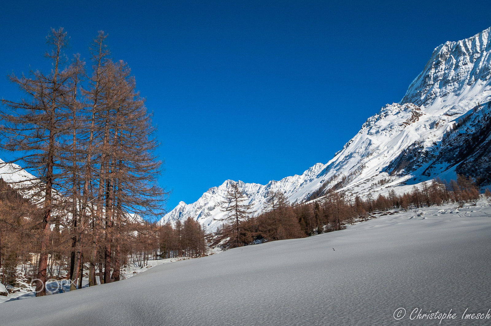Nikon D700 sample photo. Lötschental photography