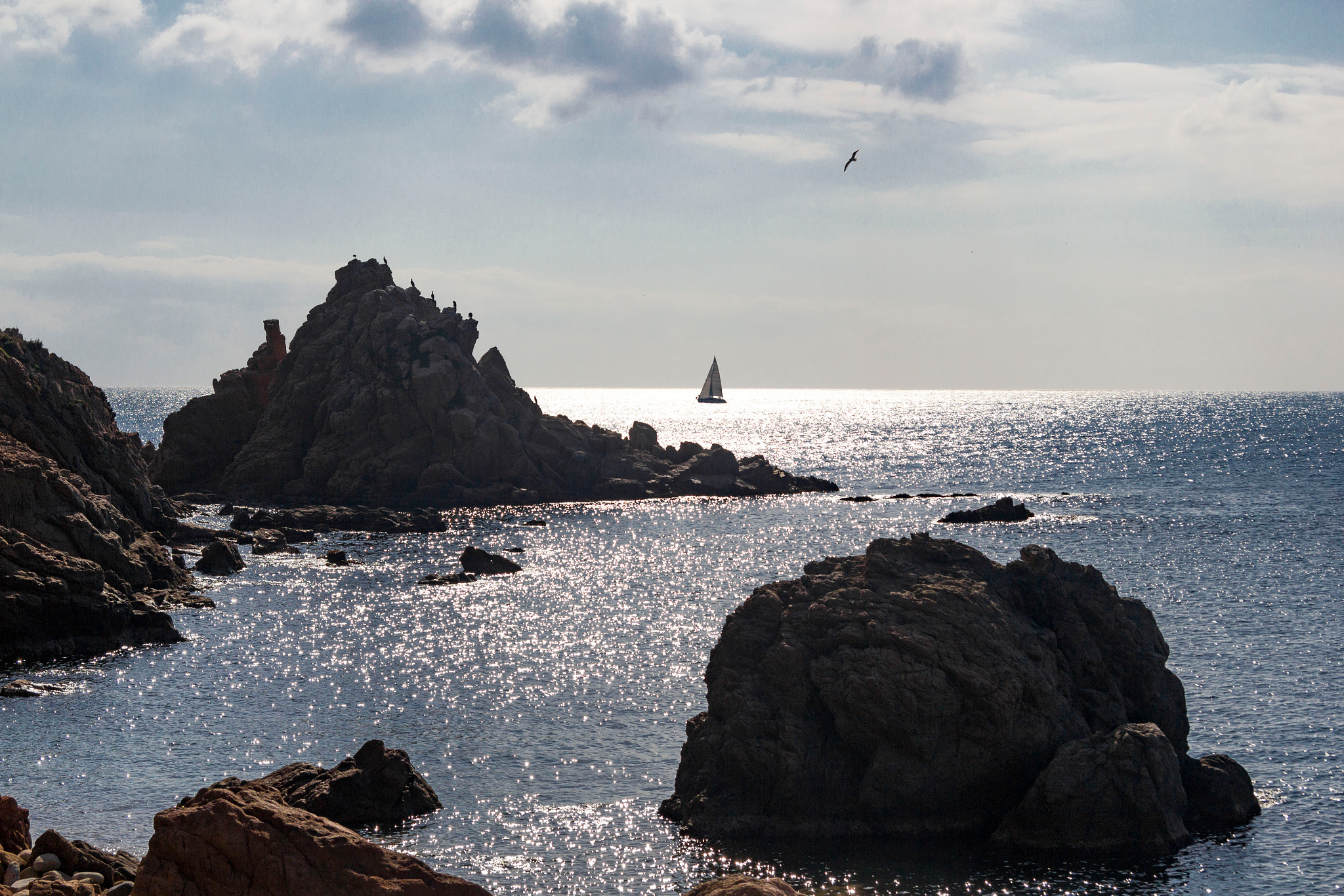 Canon EF-S 17-85mm F4-5.6 IS USM sample photo. Blanes photography