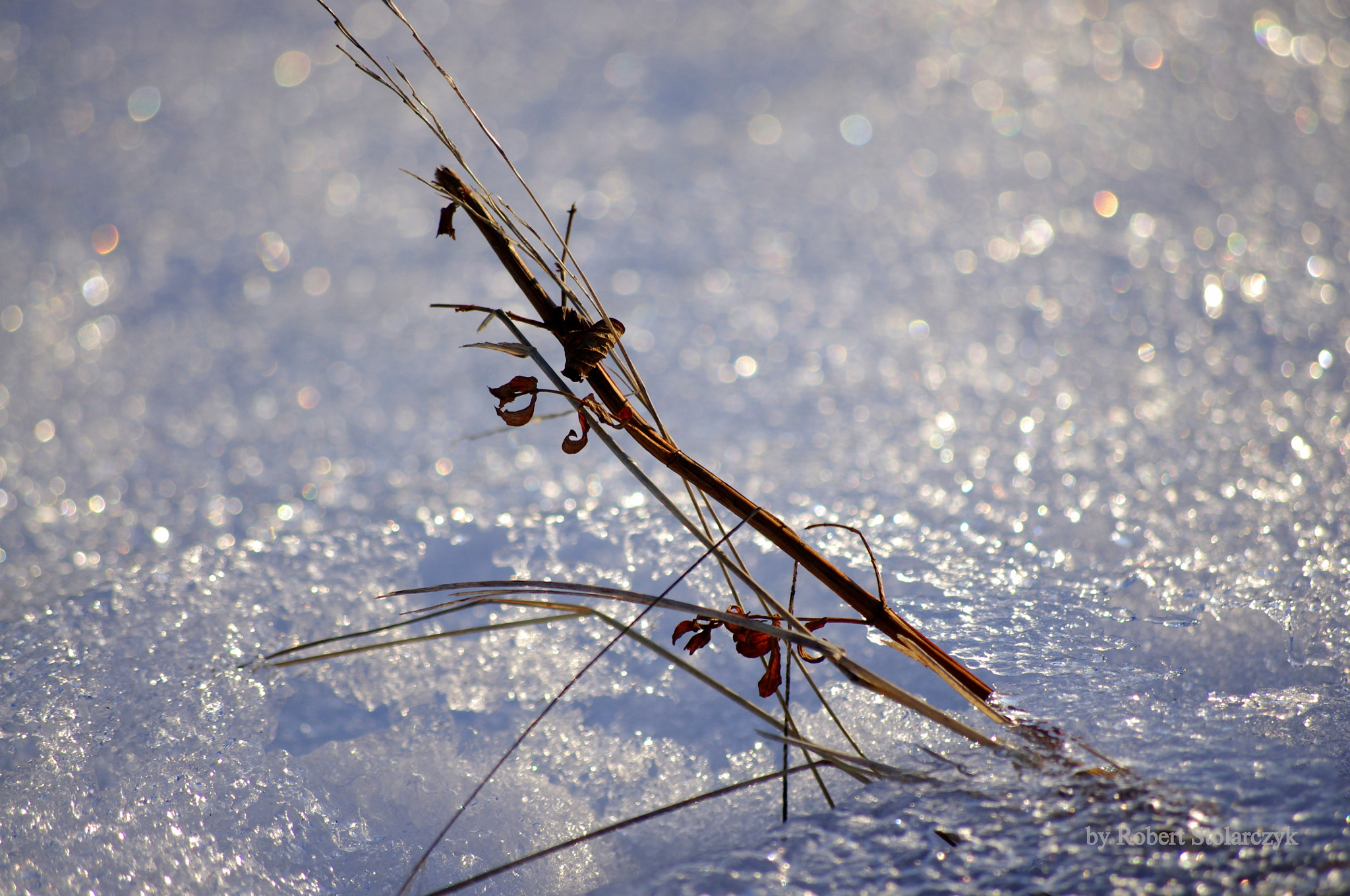 Pentax K-x + smc PENTAX-DA L 50-200mm F4-5.6 ED sample photo. Zima #4 photography