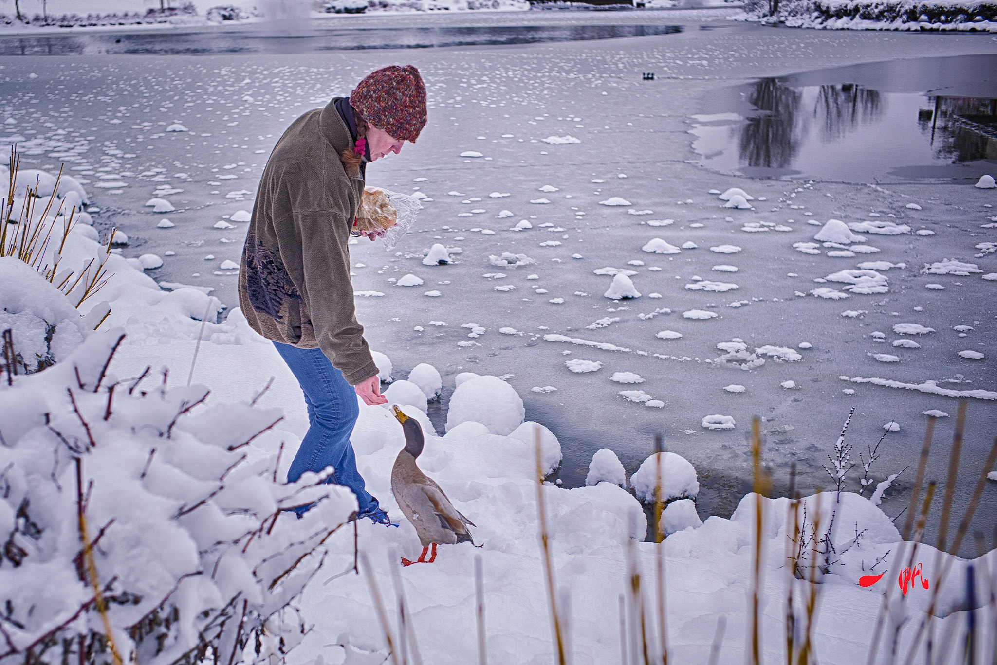 Summicron-M 1:2/35 ASPH. sample photo. A day in deep freeze photography