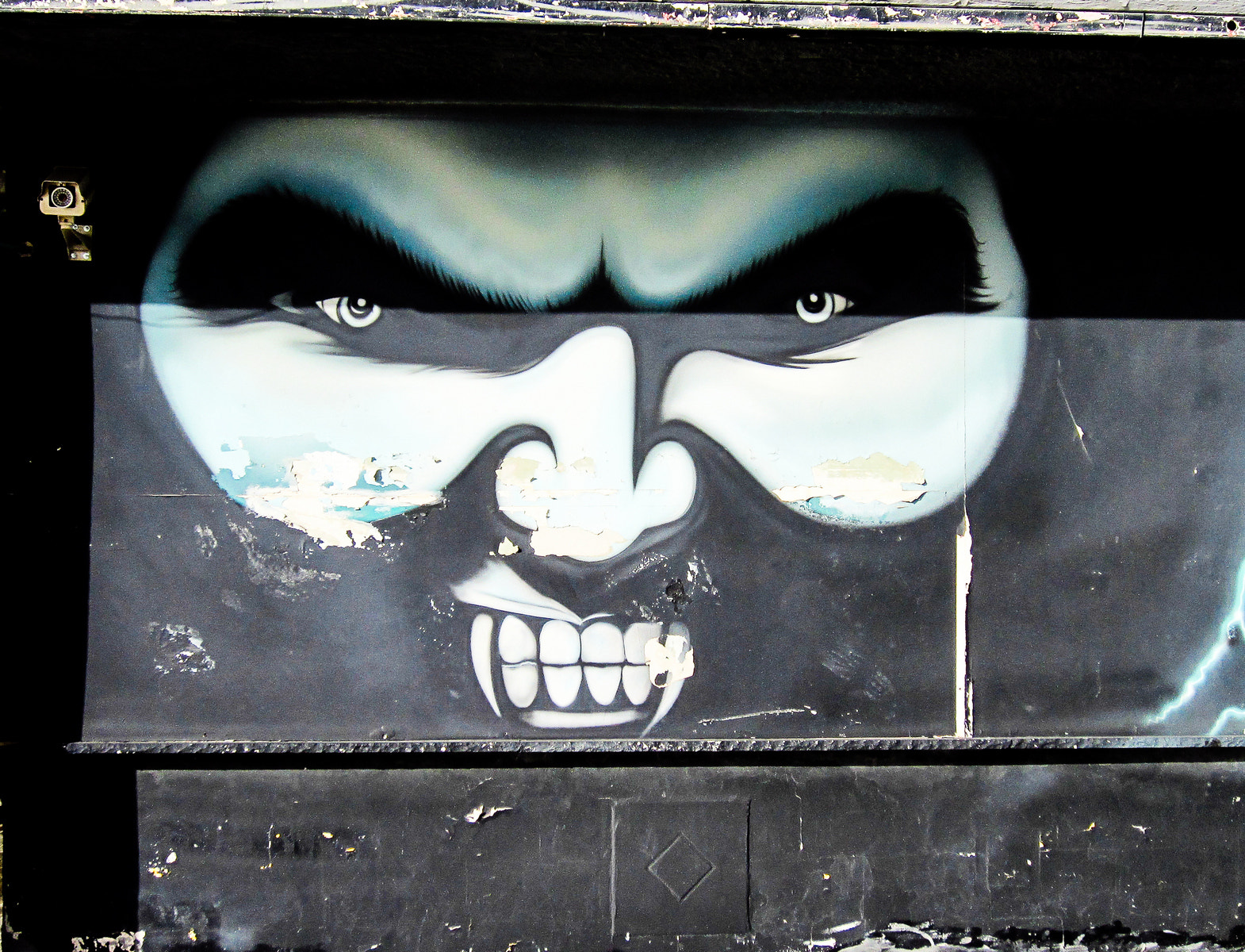 Canon PowerShot ELPH 300 HS (IXUS 220 HS / IXY 410F) sample photo. Tel aviv street art photography