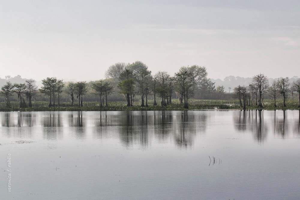 Canon EF 70-200mm F2.8L USM sample photo. The silence photography