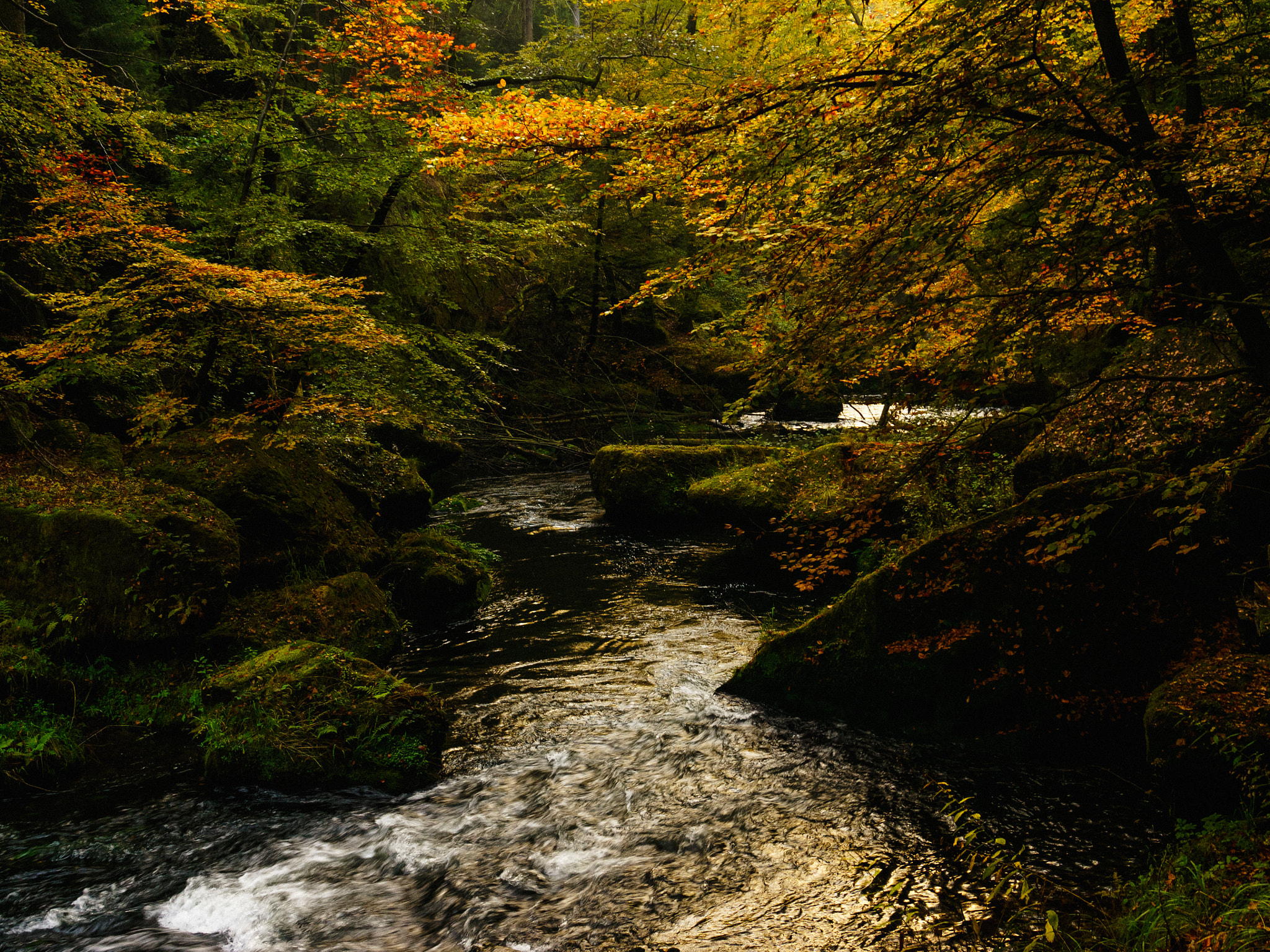 Sony Alpha NEX-6 sample photo. Klamm next to hrensko v photography