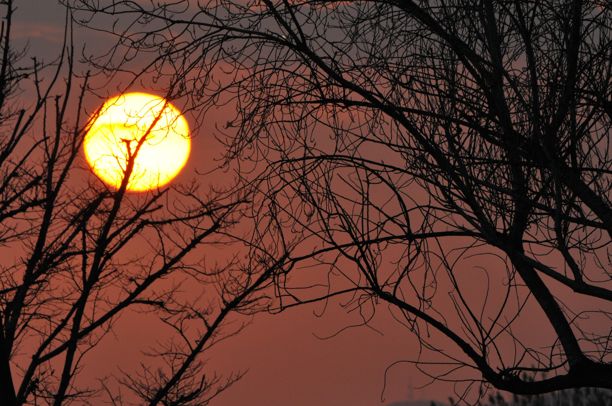 Nikon D300S sample photo. Airport sunset photography