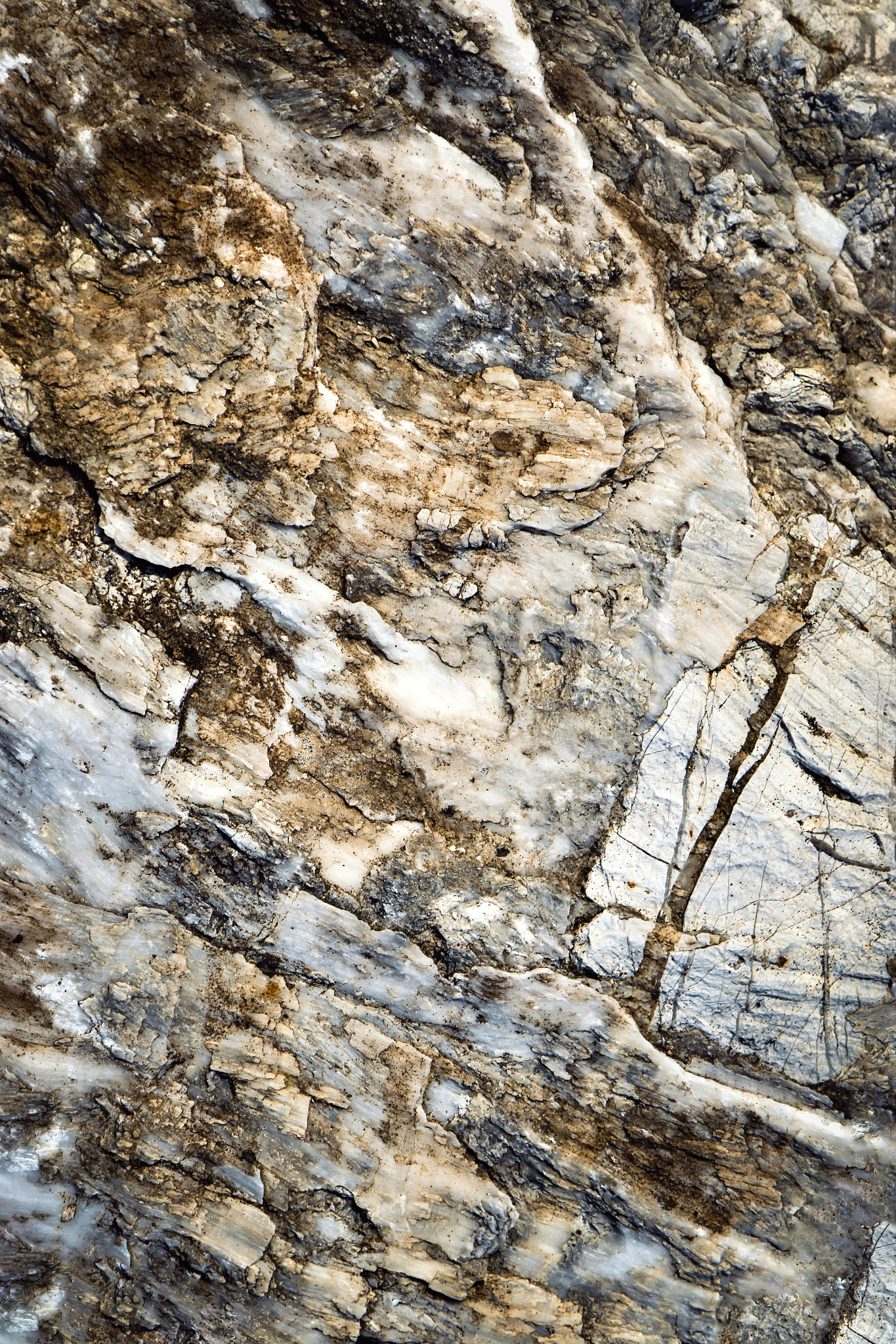 Nikon D5500 sample photo. Quartz and limestone conglomerate photography