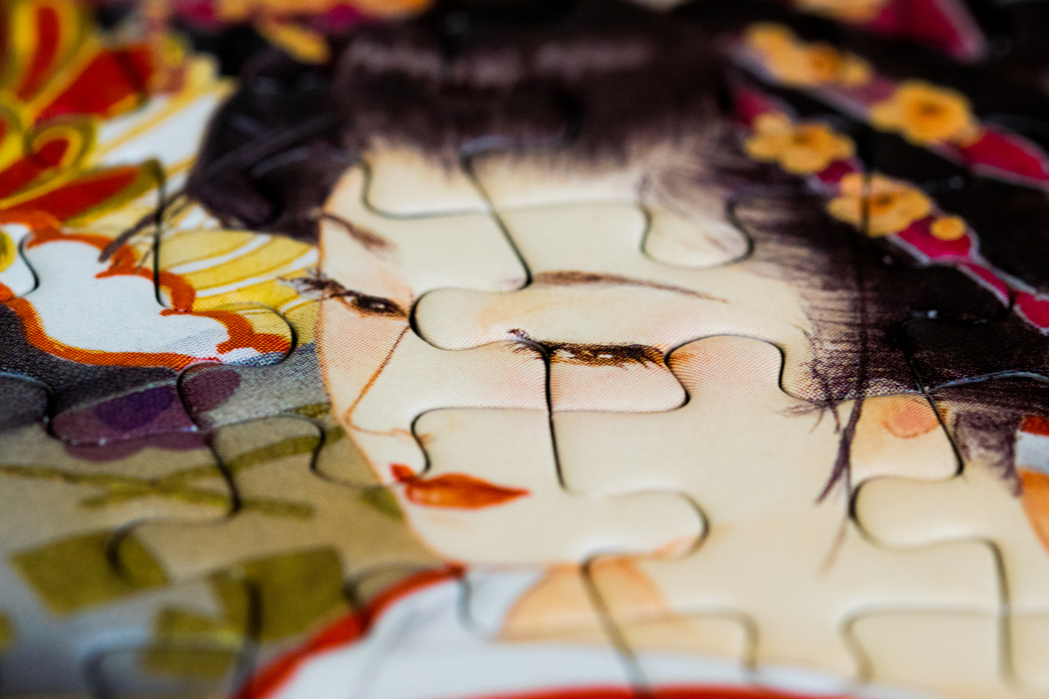 Sigma 105mm F2.8 EX DG OS HSM sample photo. Geisha photography