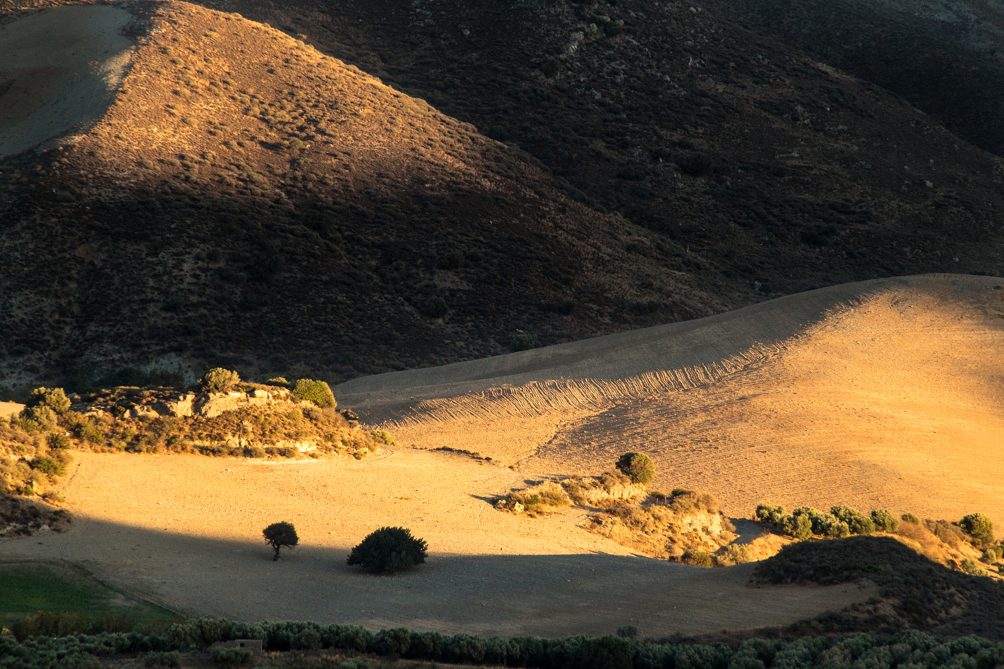 Canon EOS 650D (EOS Rebel T4i / EOS Kiss X6i) sample photo. Golden fields 1 photography