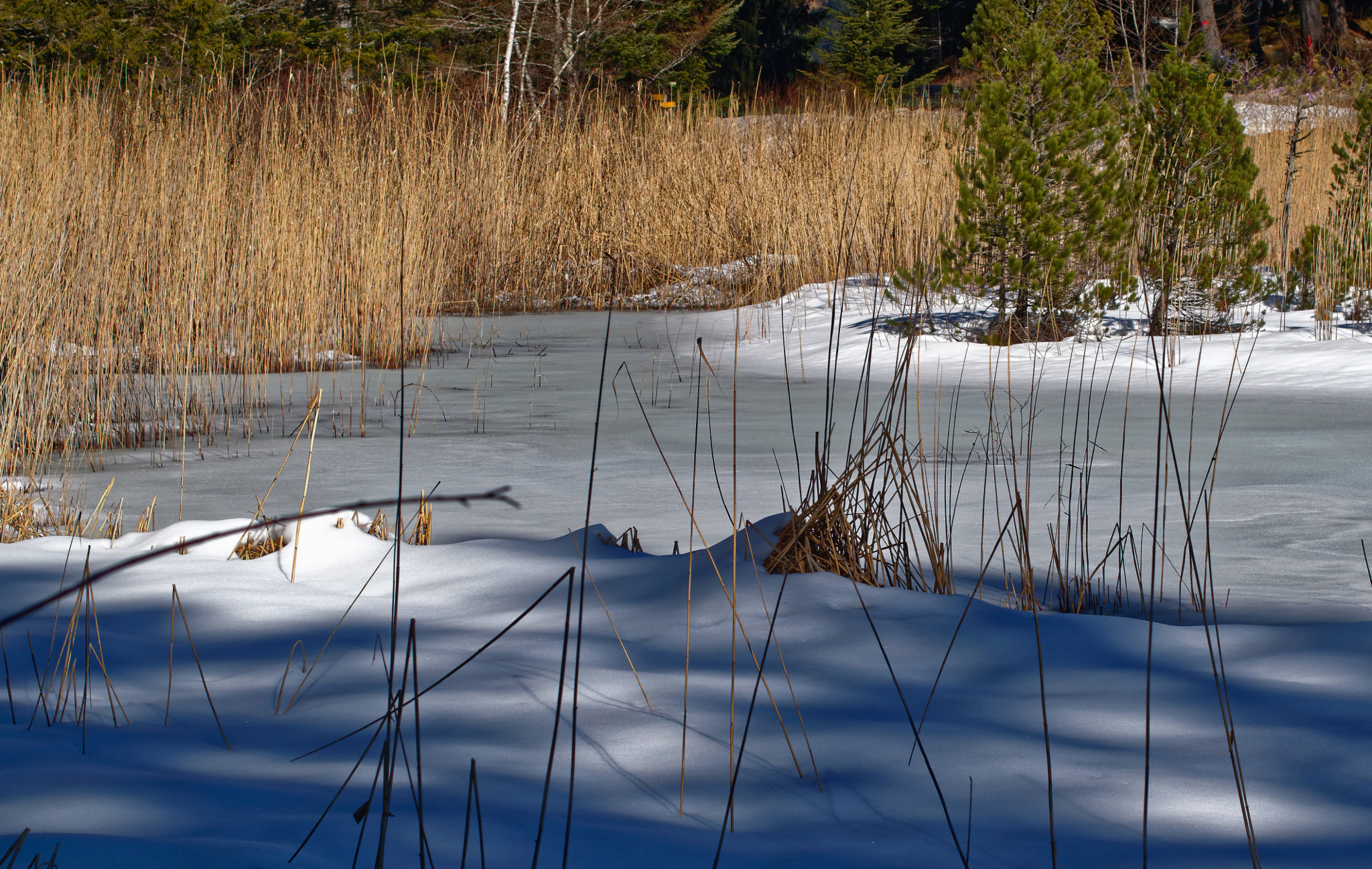 Nikon D5300 + Nikon AF-S Nikkor 50mm F1.4G sample photo. Small frozen lake photography