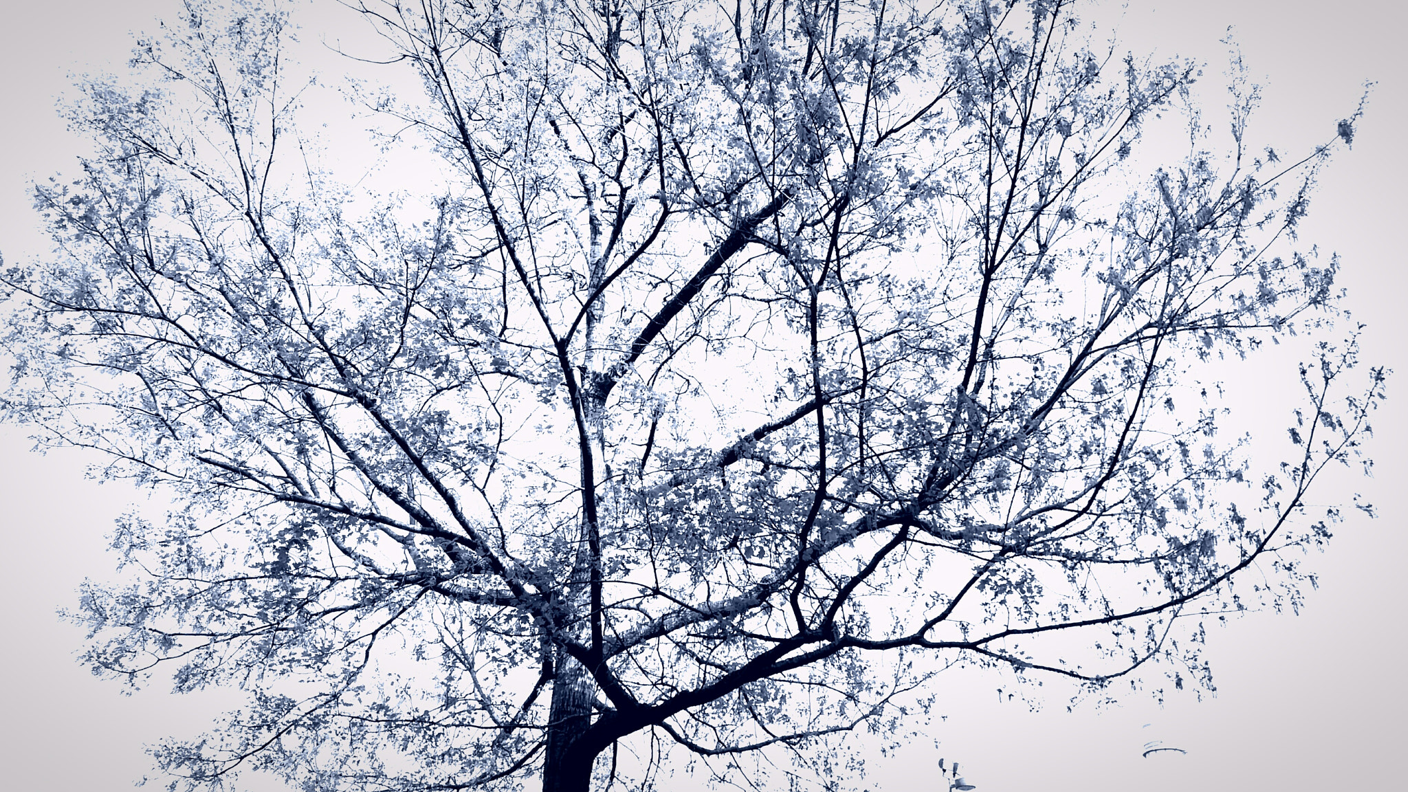 Samsung Galaxy J7(2015) sample photo. Blue  photography
