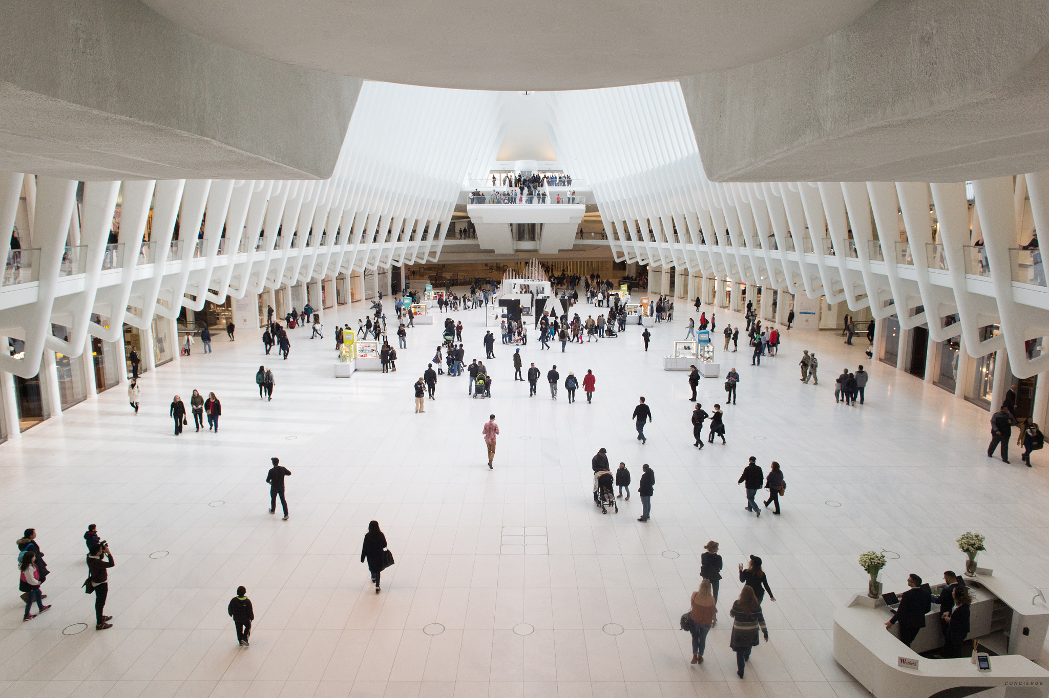 Nikon Df sample photo. The oculus photography