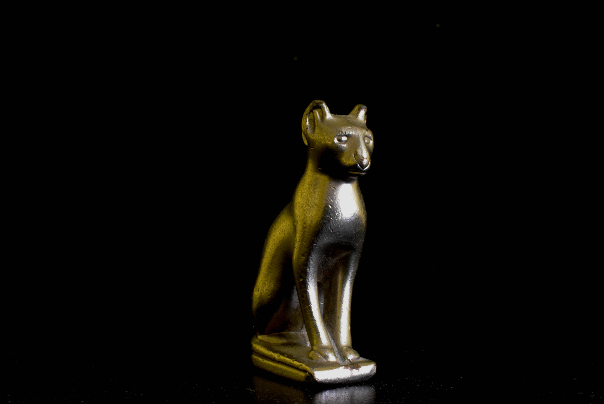 Nikon AF-S DX Micro Nikkor 40mm F2.8 sample photo. Gato egipcio photography