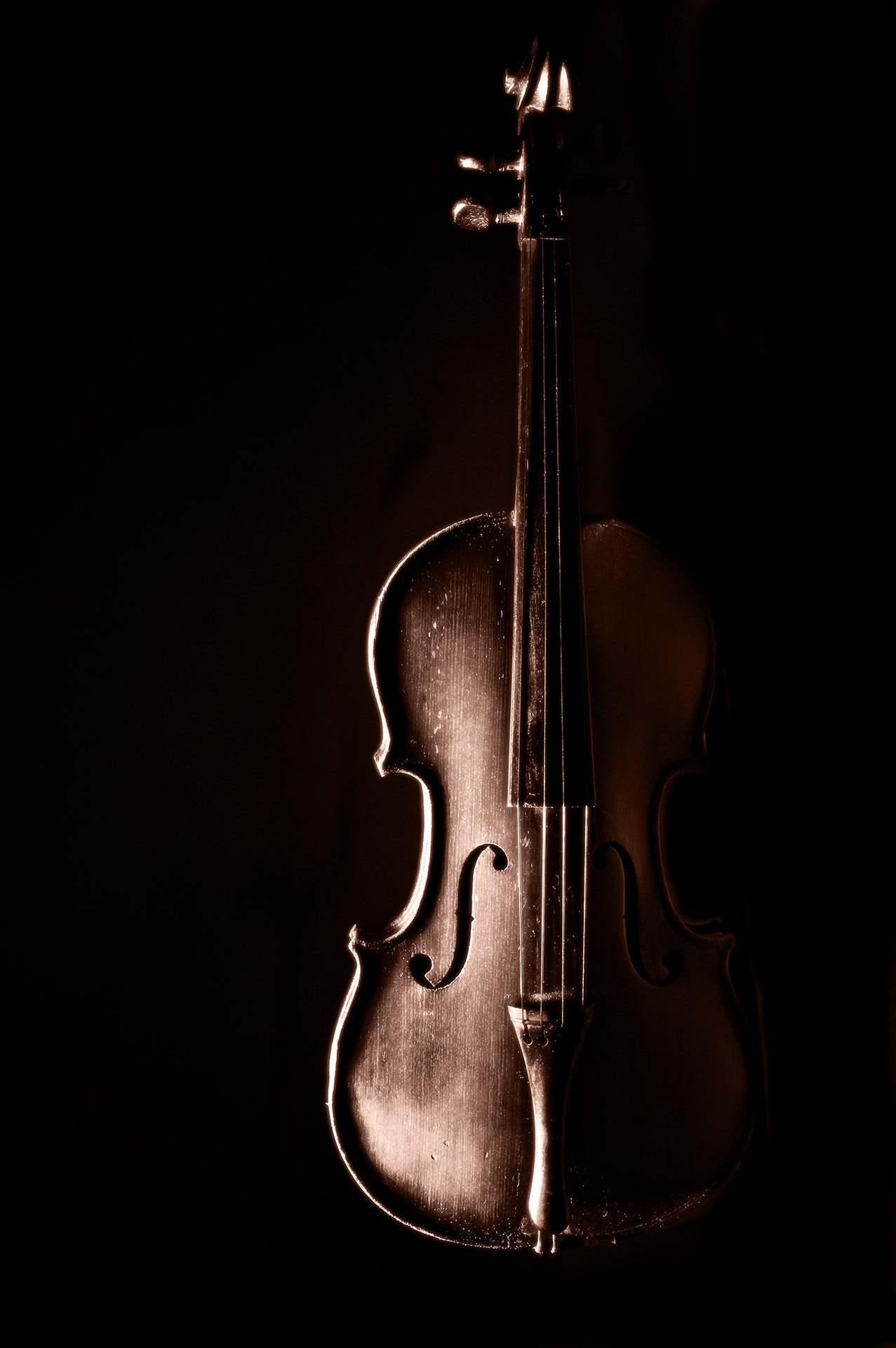 Pentax K-3 II sample photo. Violon photography