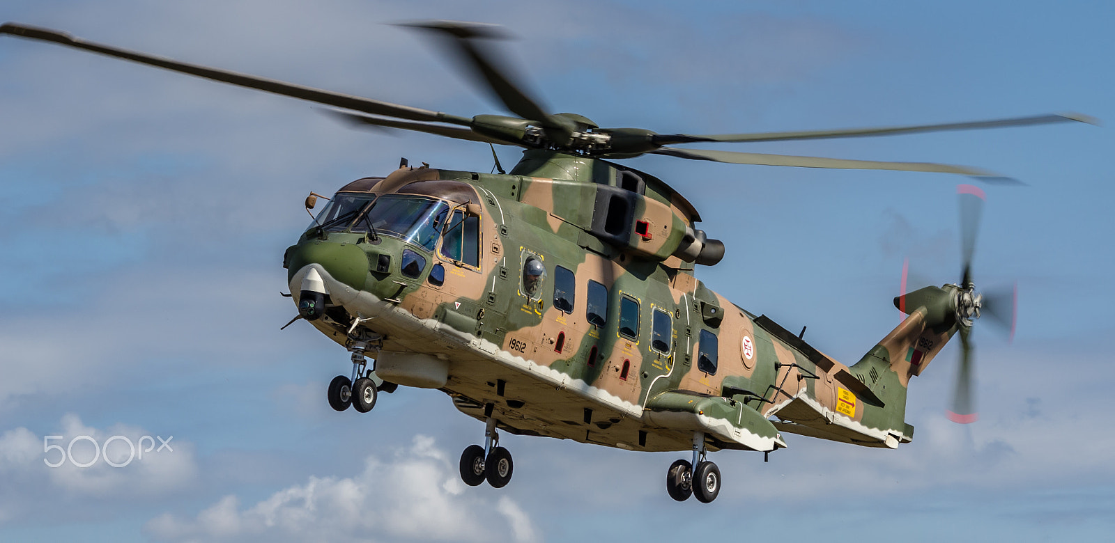 Sigma 120-400mm F4.5-5.6 DG OS HSM sample photo. Fap aw eh-101 merlin 19612 photography