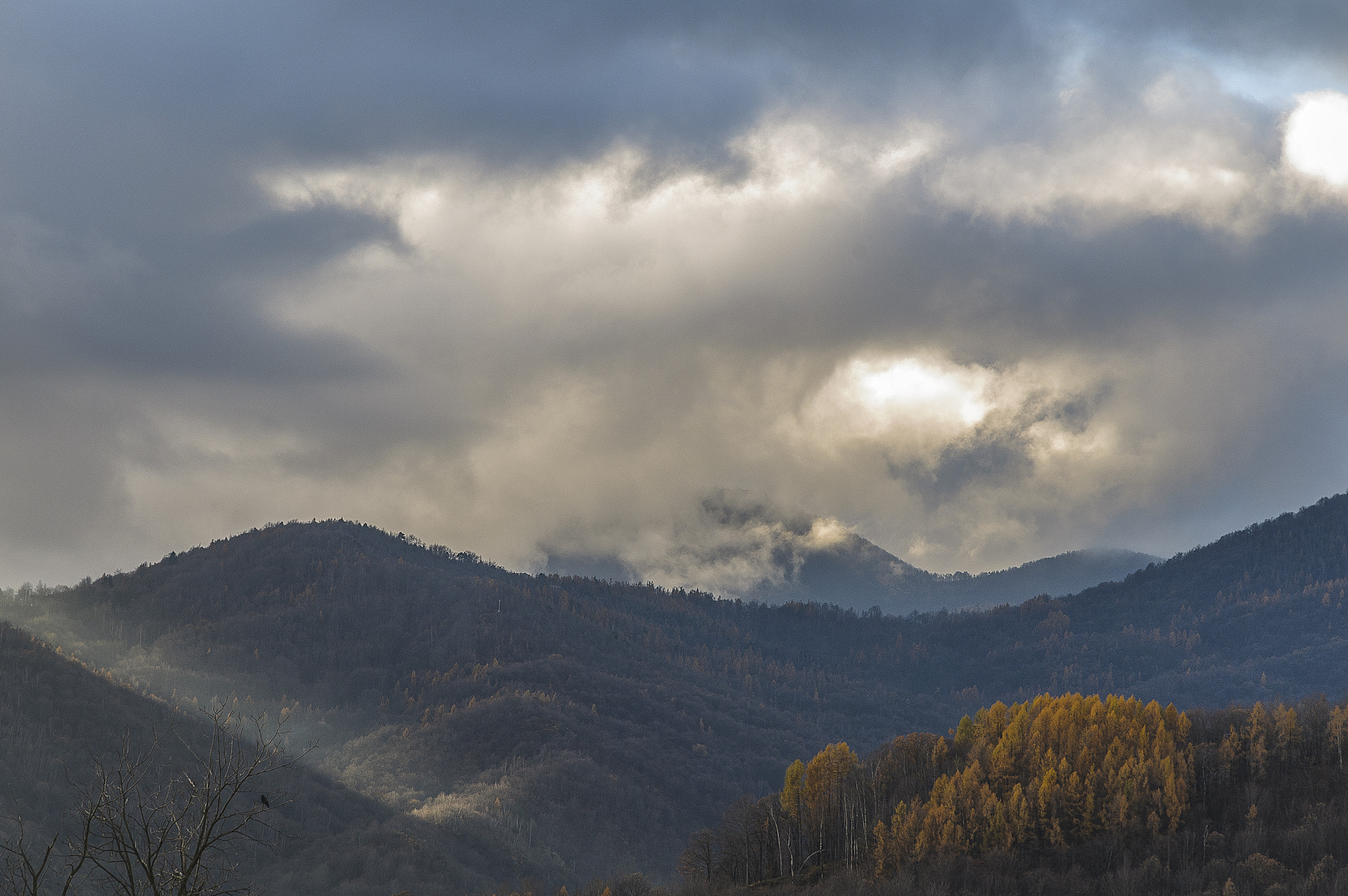 Nikon D300S sample photo. Raggi di sole photography